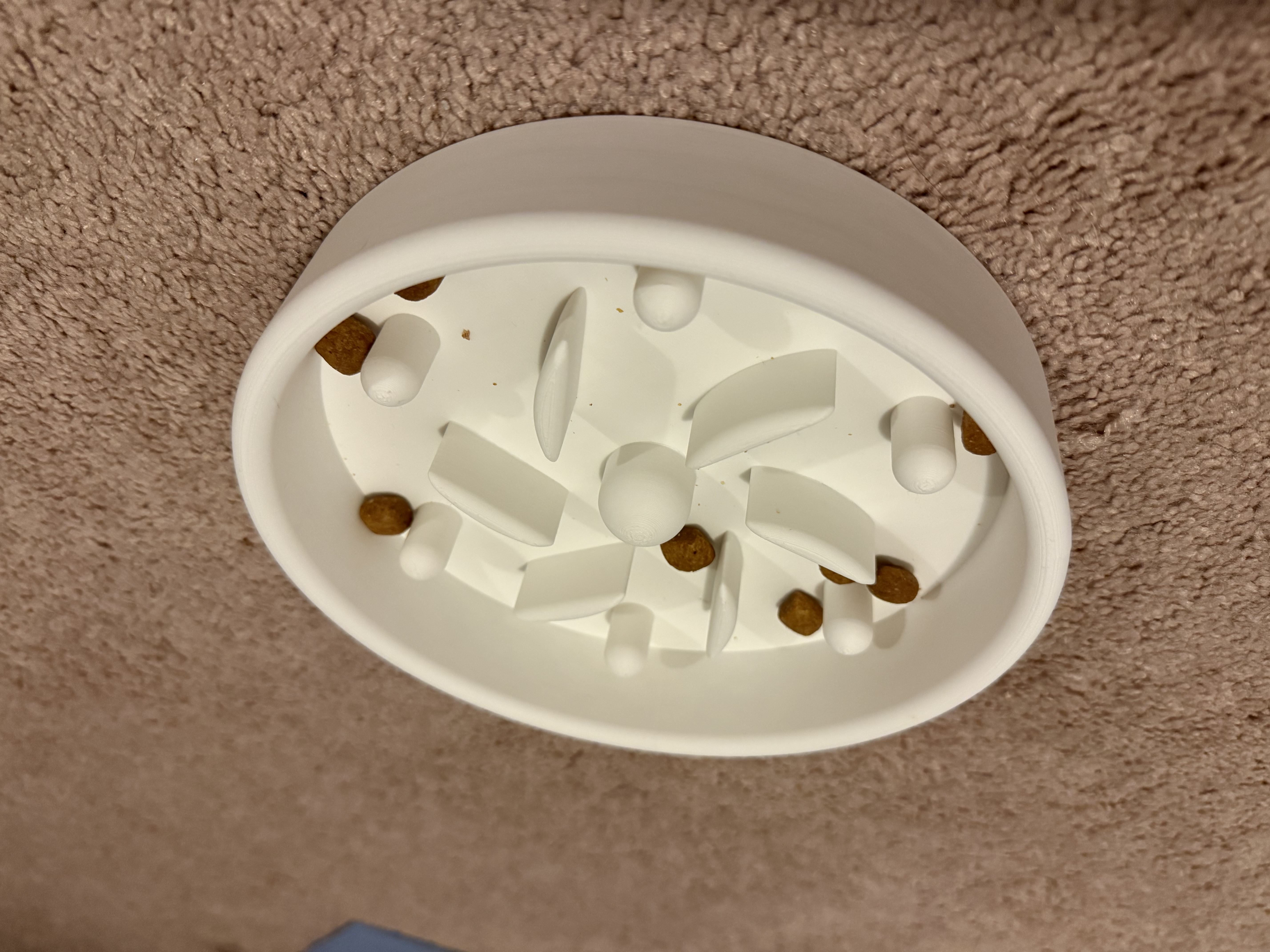 Cat Slow Feeder Bowl