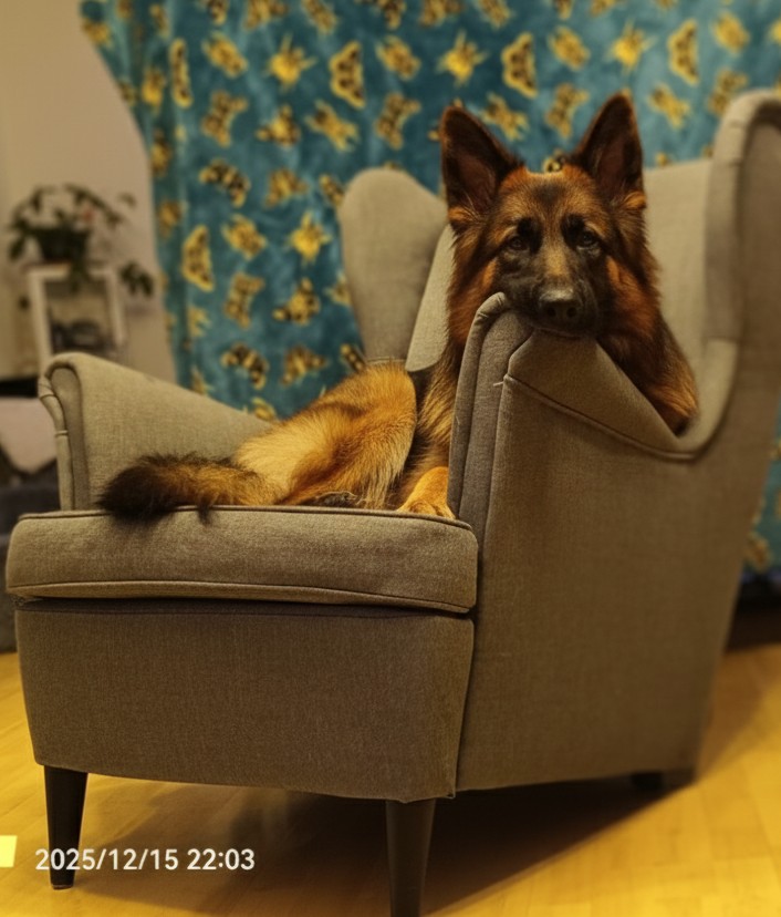 Fuß Foot Ikea Ohrensessel