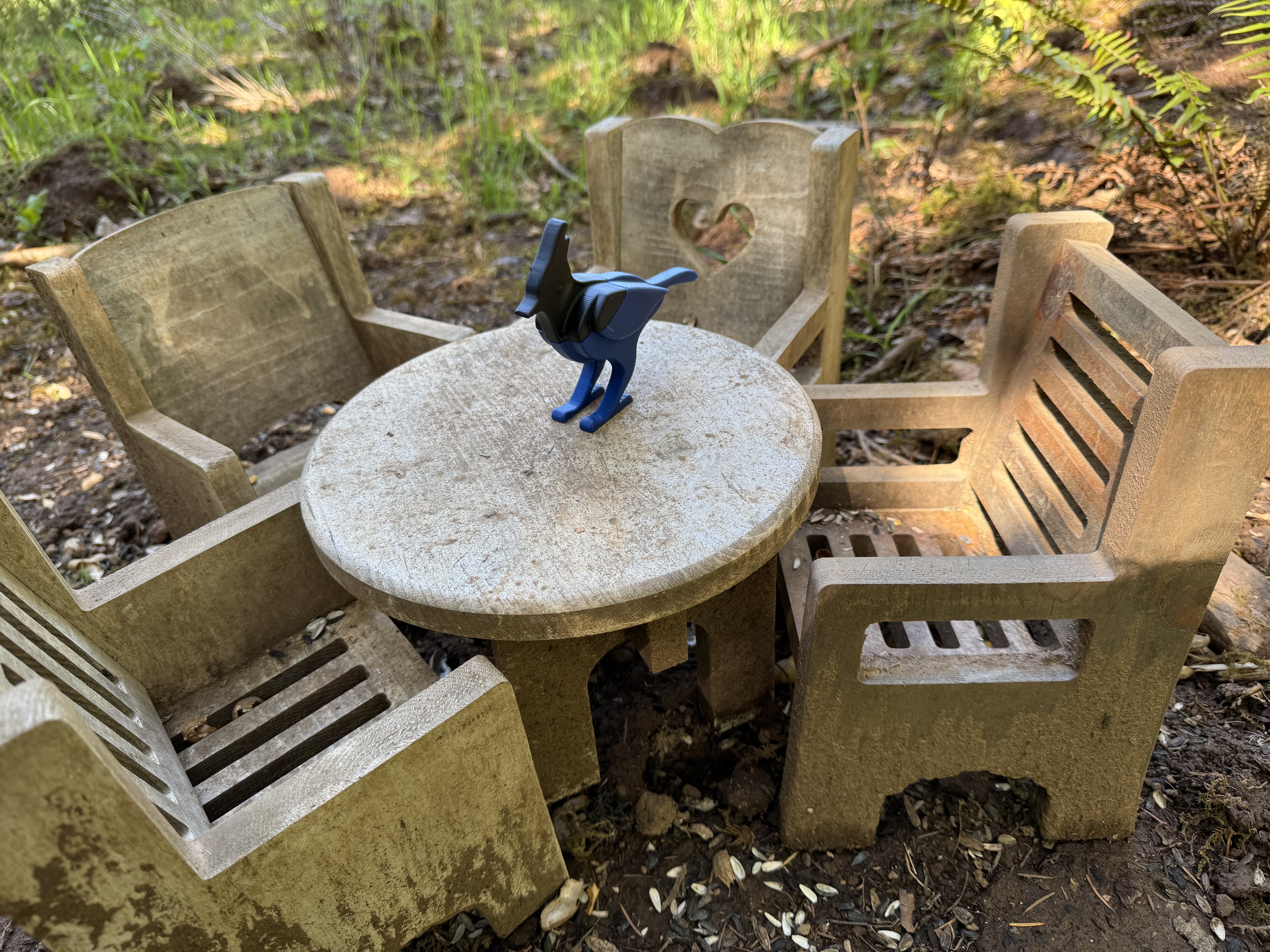 Decoy Steller’s Jay