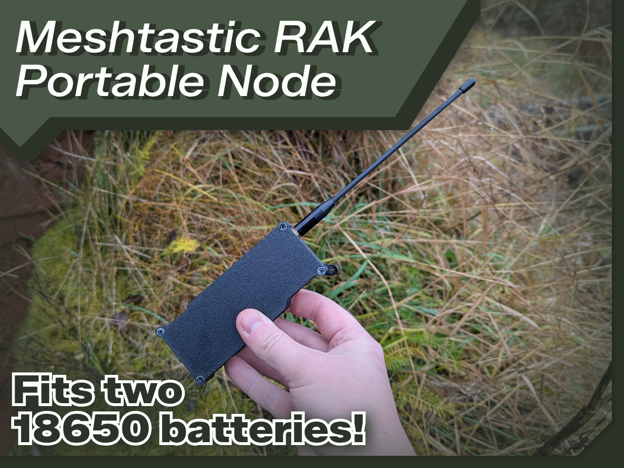 Meshtastic RAK19003 + 2x18650 enclosure