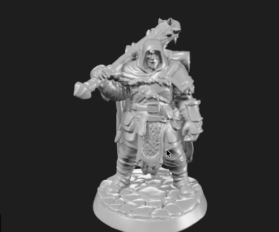 Warrior Sentinel — miniatura 8