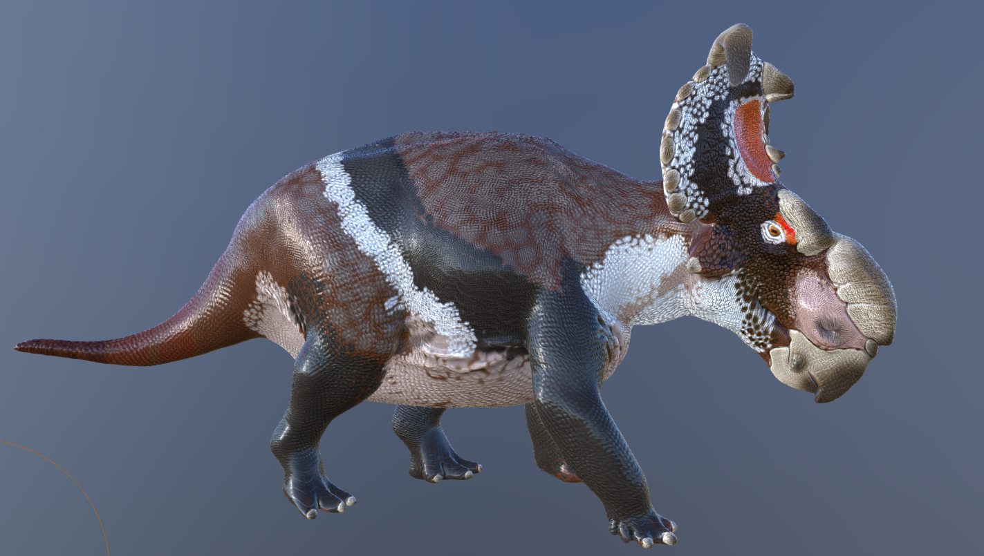 revised Pachyrhinosaurus Perotorum