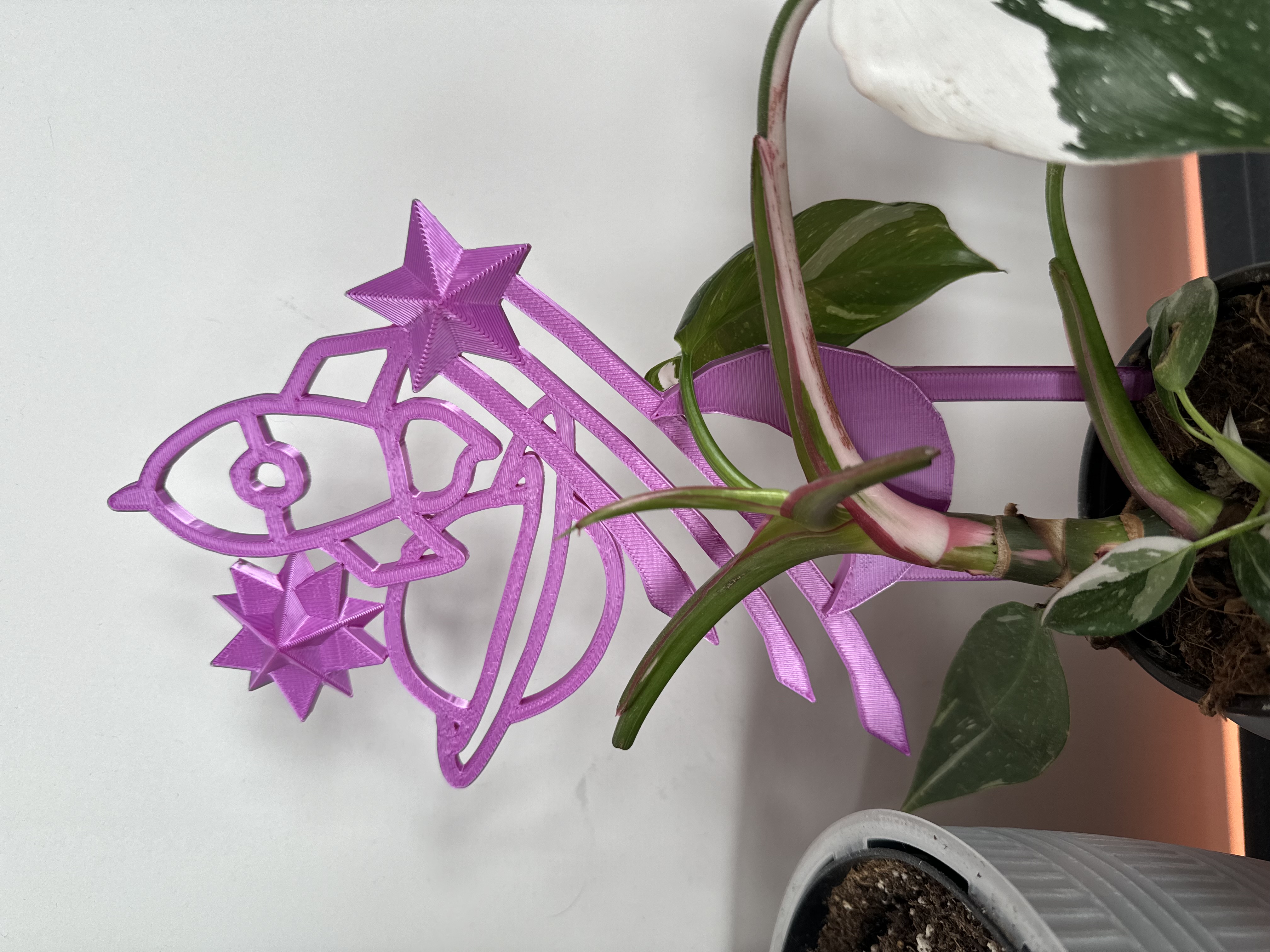 Space Trellis