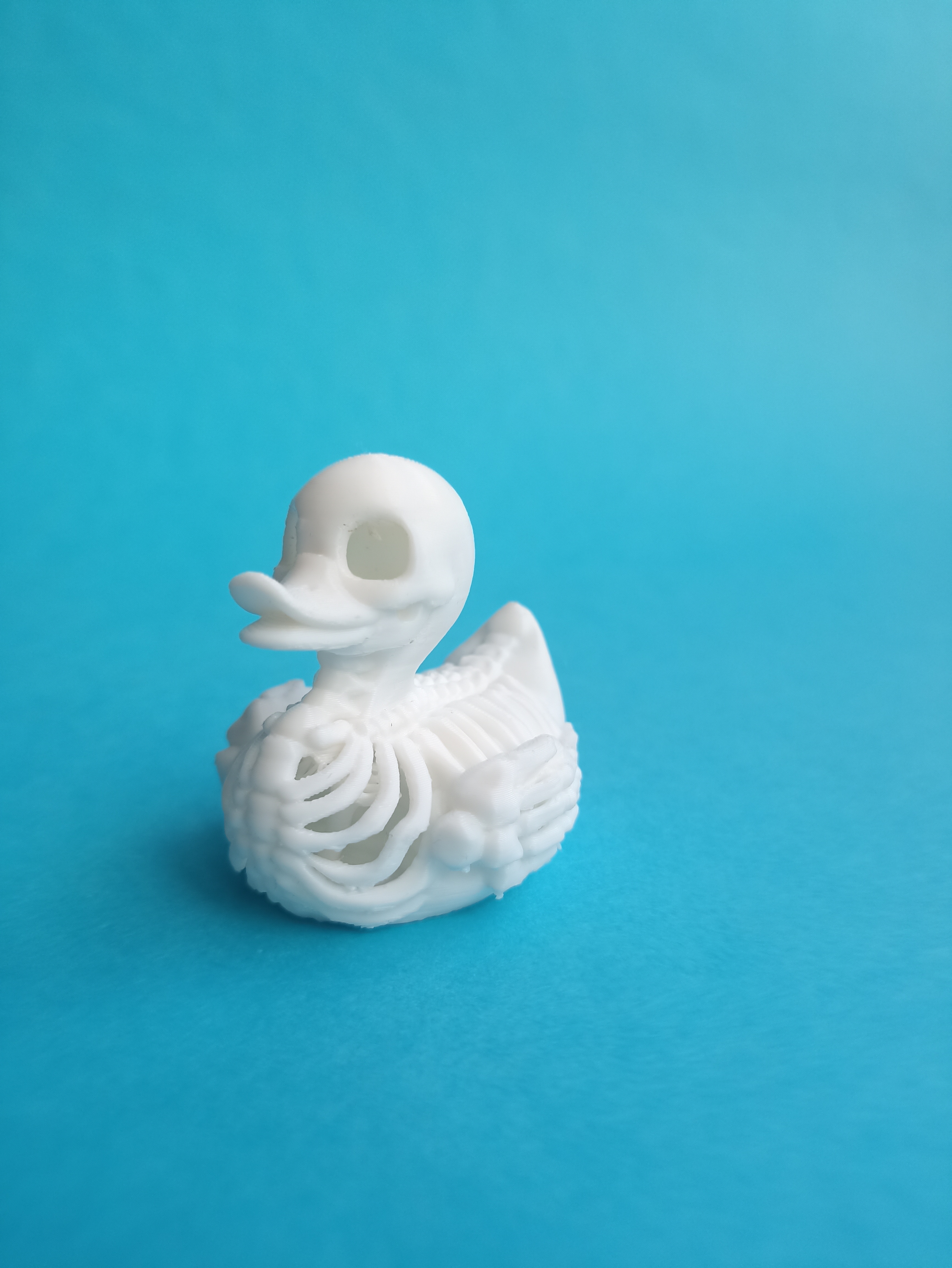 Miniatura 2 do modelo 3D Duck skeleton, bones.