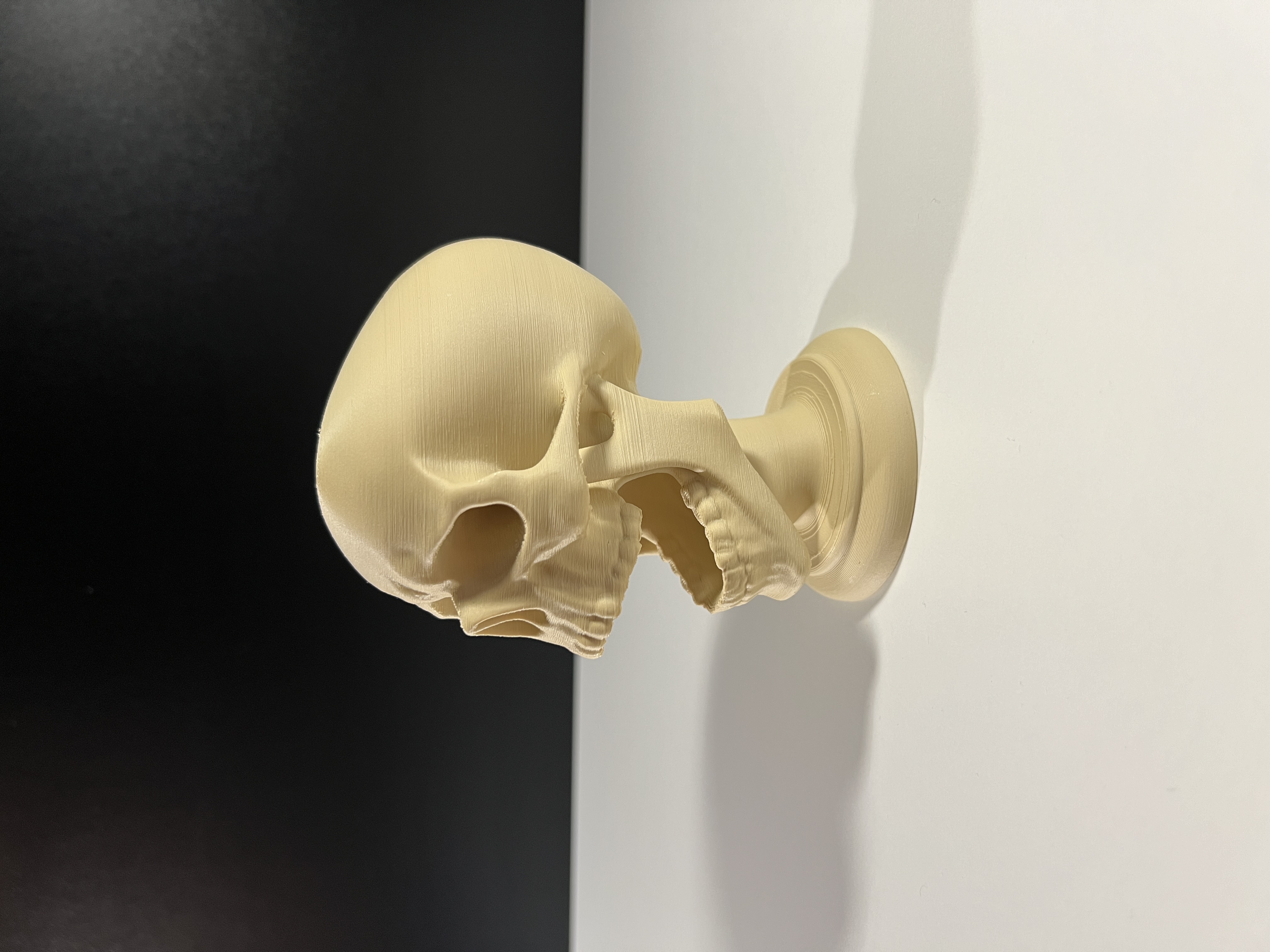 Screaming Skull — miniatura 5