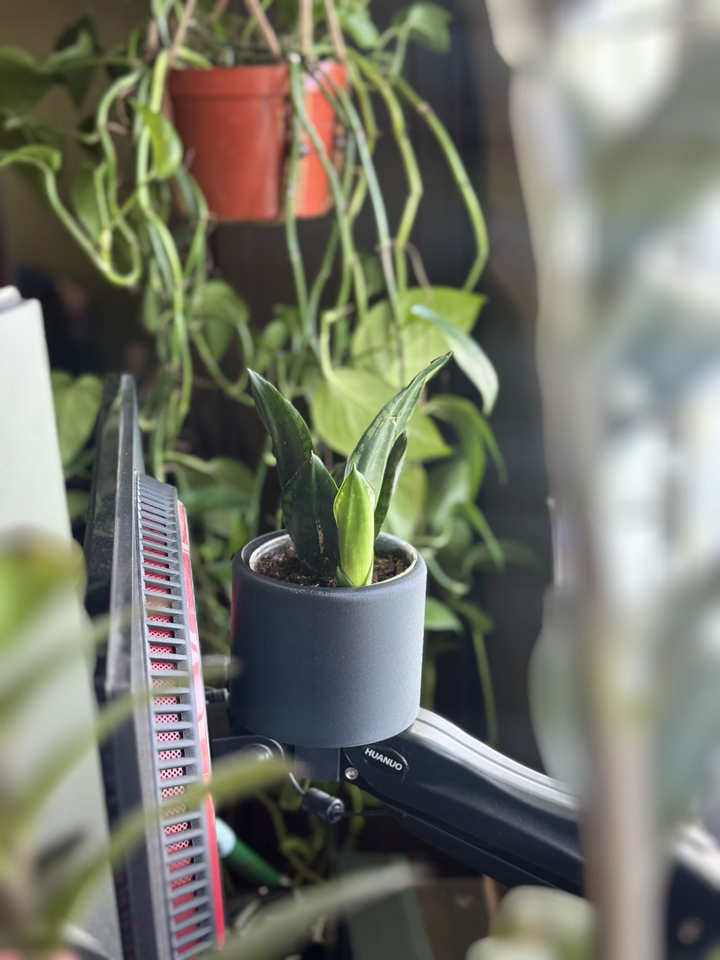 Monitor Arm Planter