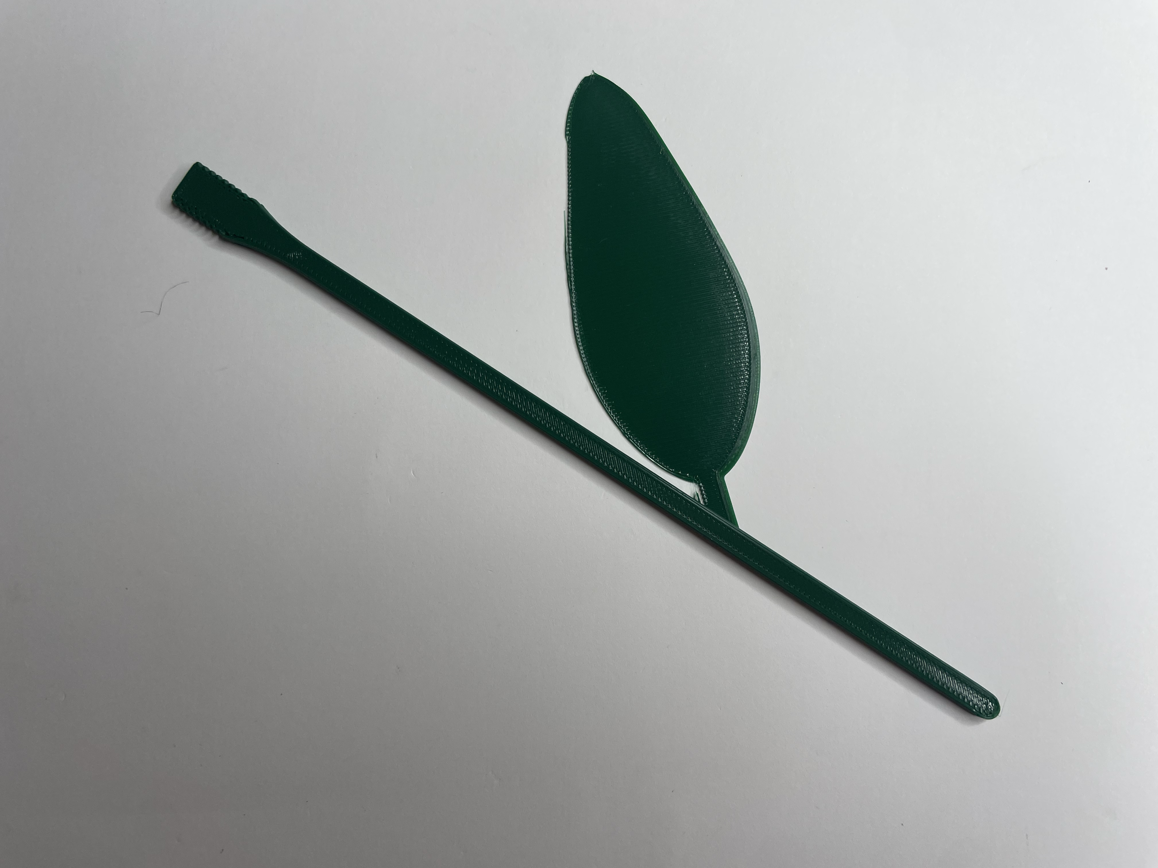 Tulip — thumbnail 18