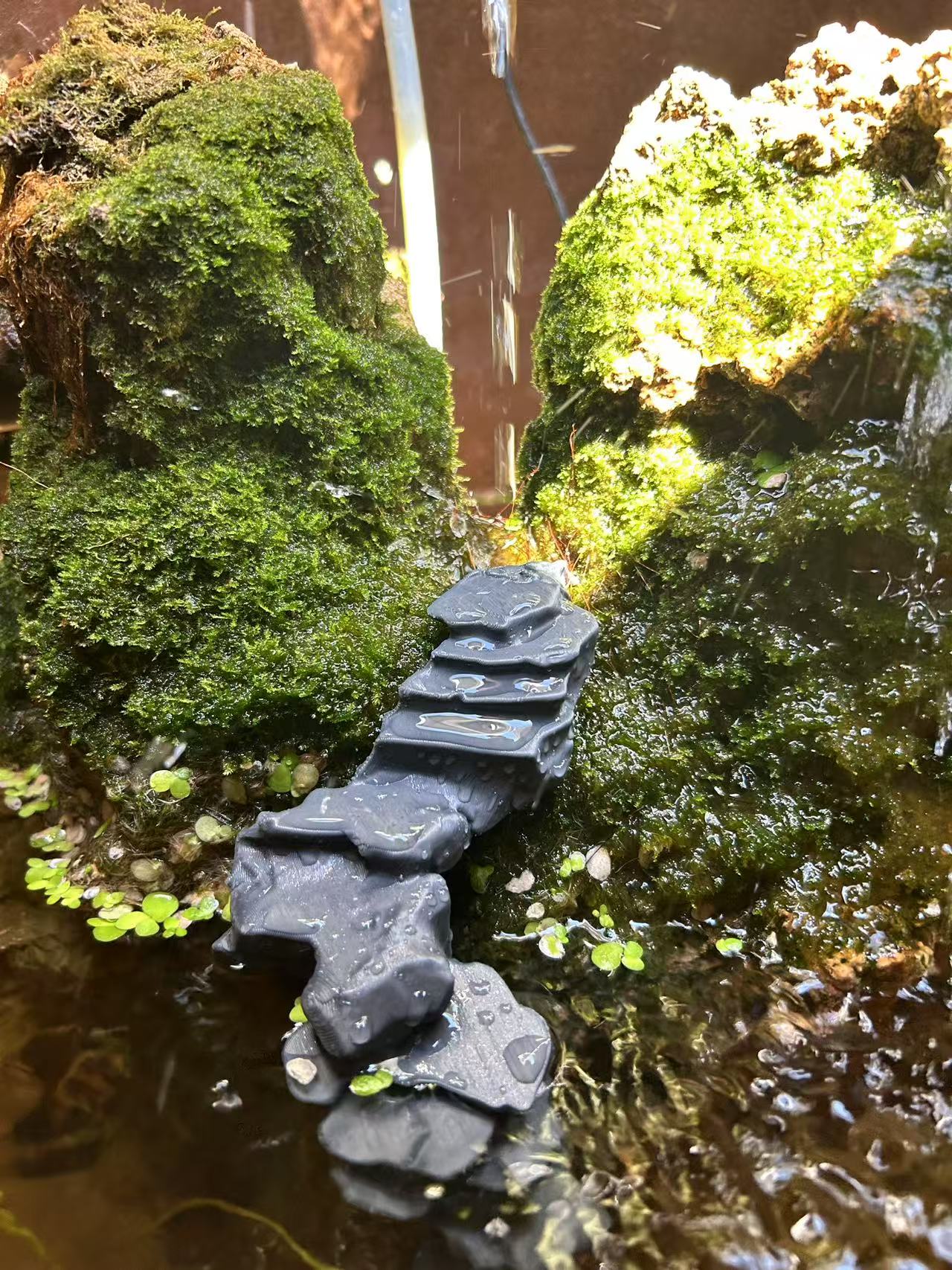 Stone stairs for aquarium, Terrarium or paludarium