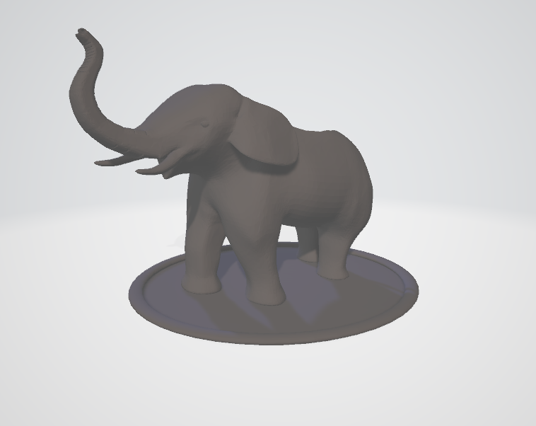 Elephant succulents planter