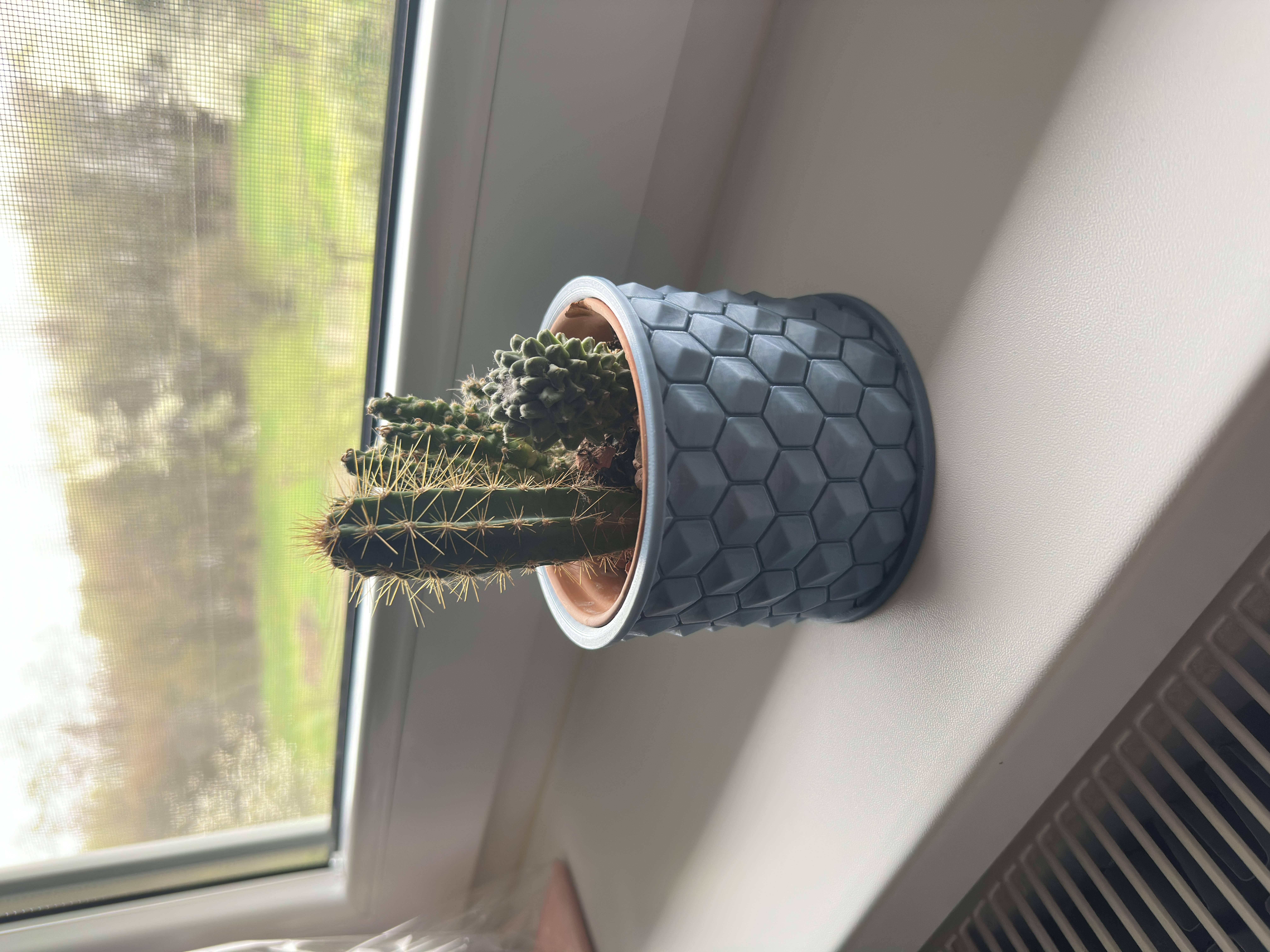 Miniatura 2 do modelo 3D cactus vase