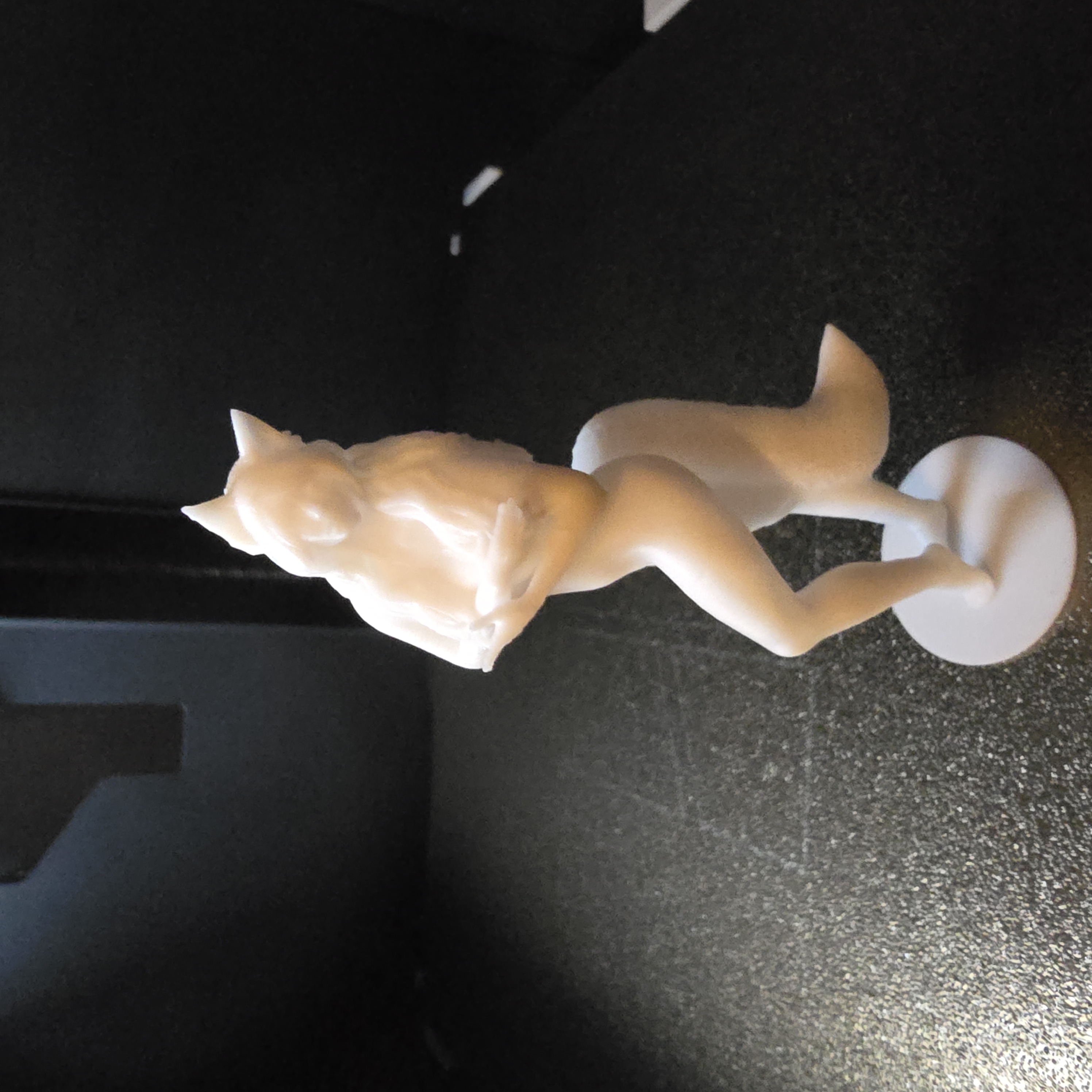 Naked Fox-Girl