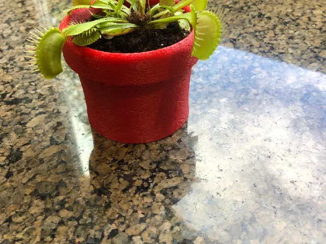 Spider man planting  pot