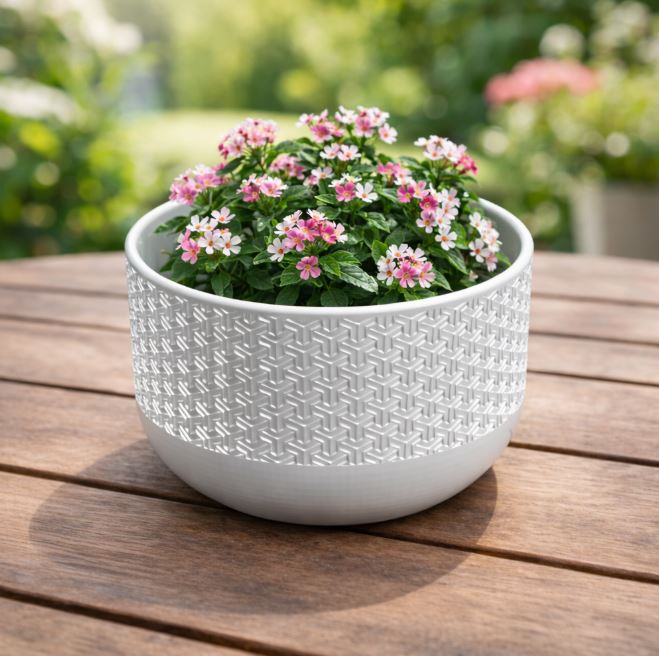 Cuenco - Macetero  /    Bowl - Planter