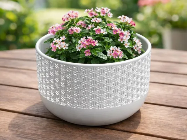 Cuenco - Macetero  /    Bowl - Planter