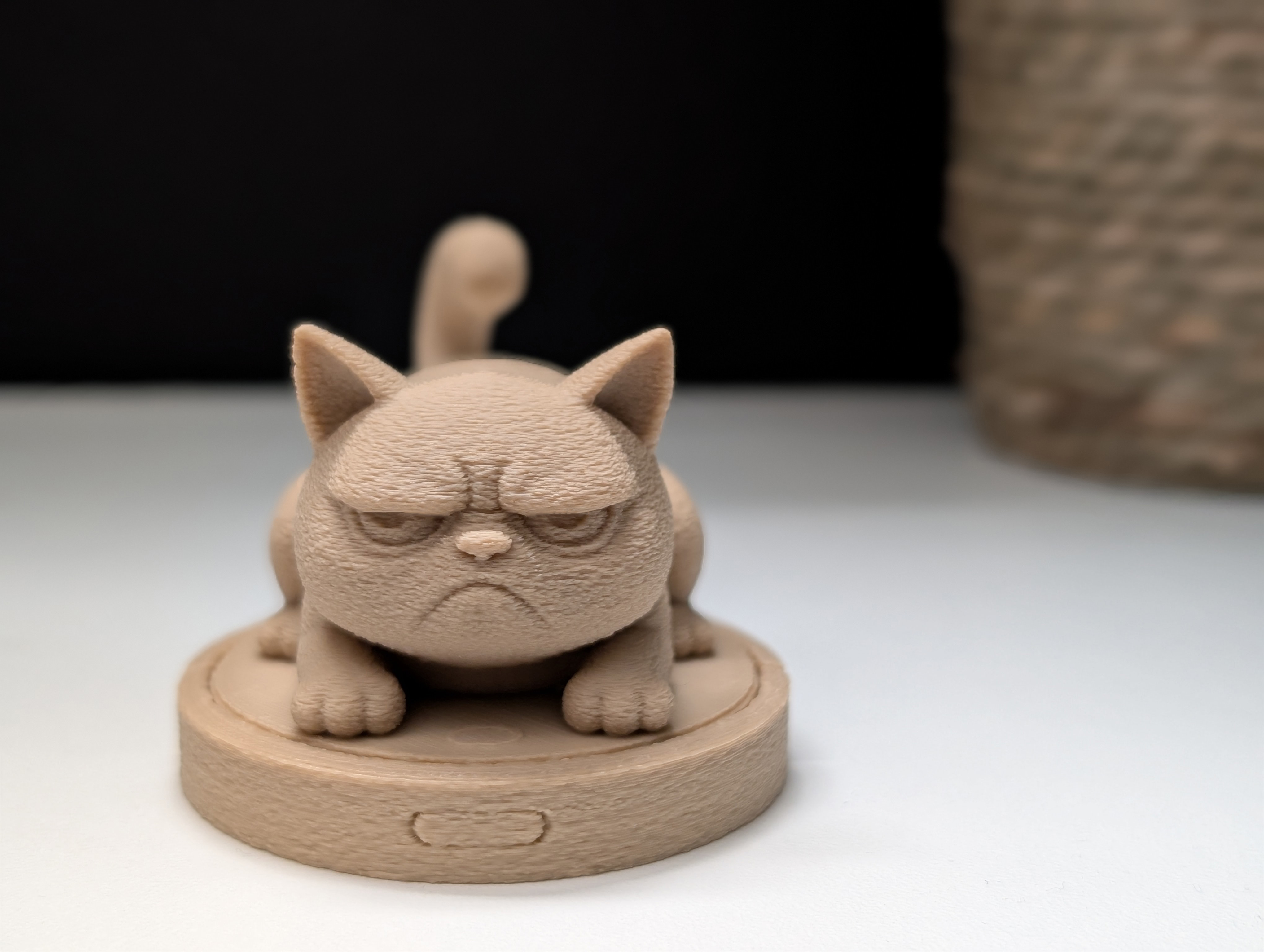 Miniatura 2 do modelo 3D Grumpy Cat on a Roomba