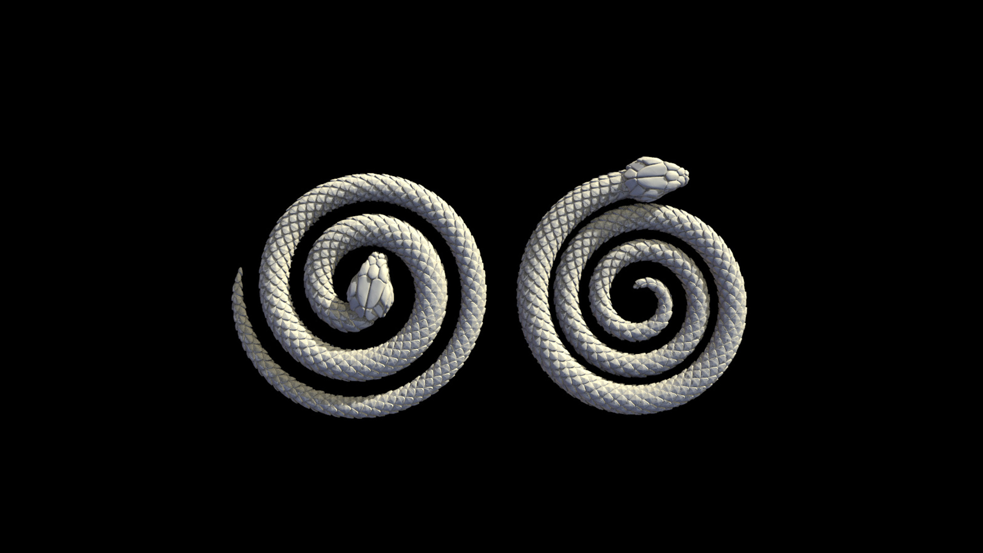snake