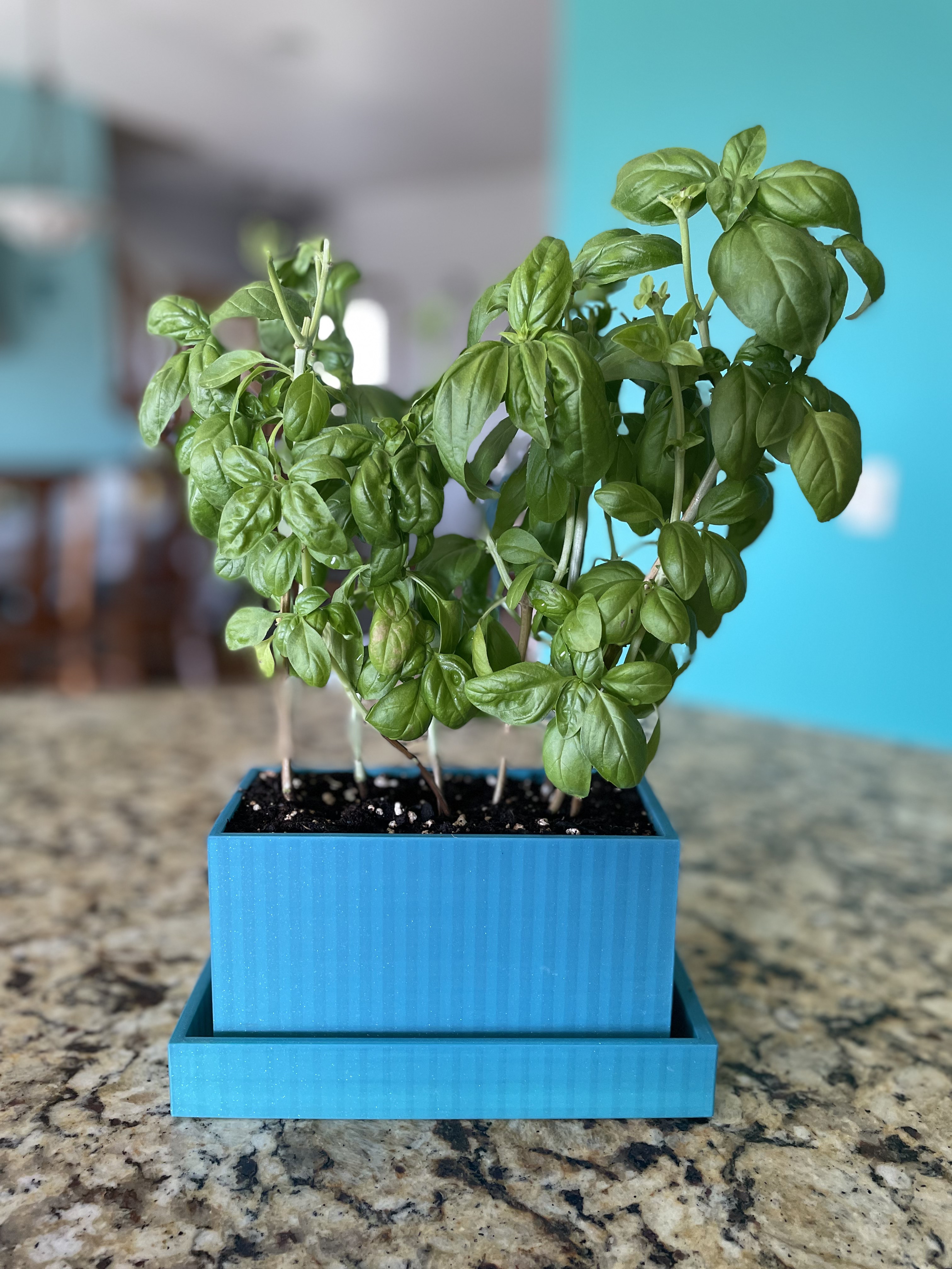 Windowsill Planter box