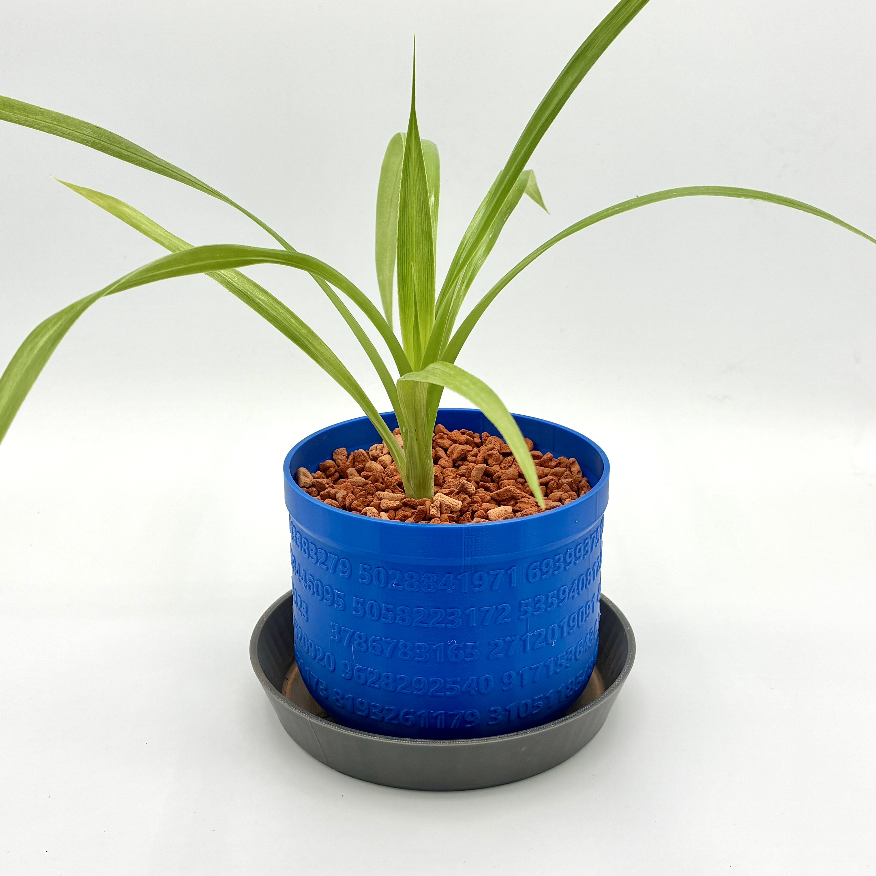 Übertopf Durchmesser 10cm, Höhe 8cm mit Untersetzer