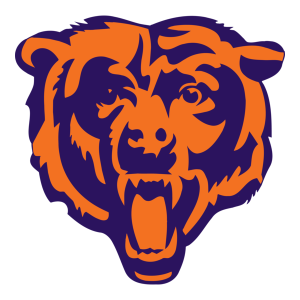 Bears iPhone 13 Case