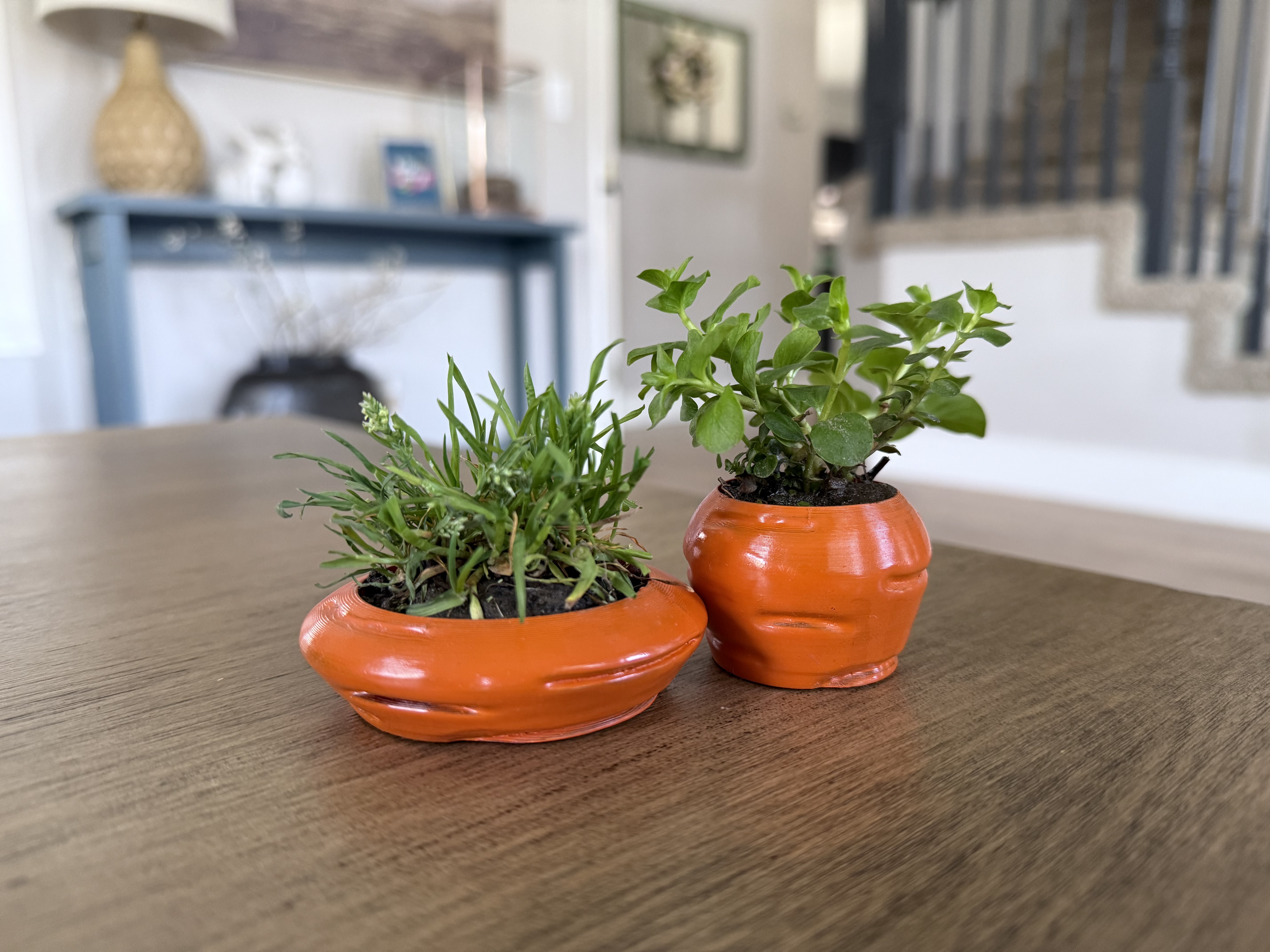 Carrot planter