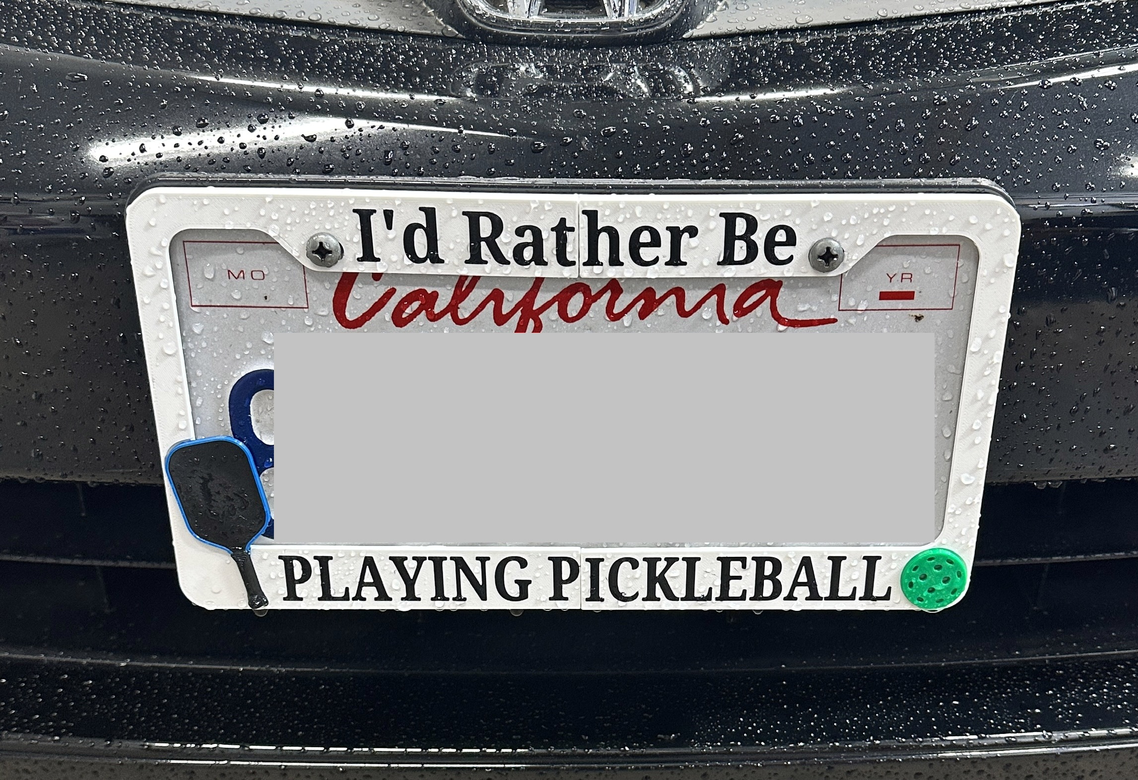 Pickleball Licence Plate Frame