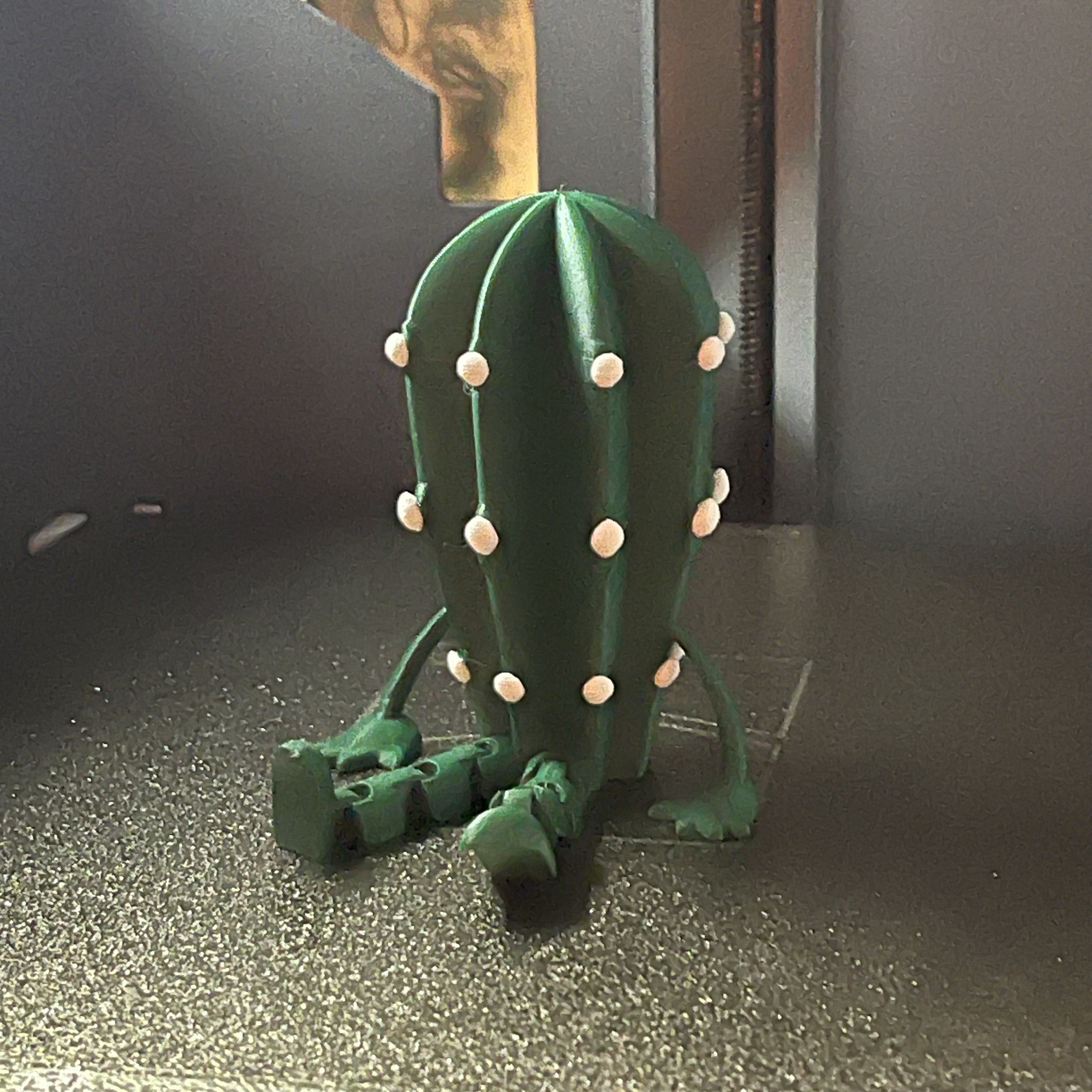 Friendly Articulated Cactus (Myrtillocactus)