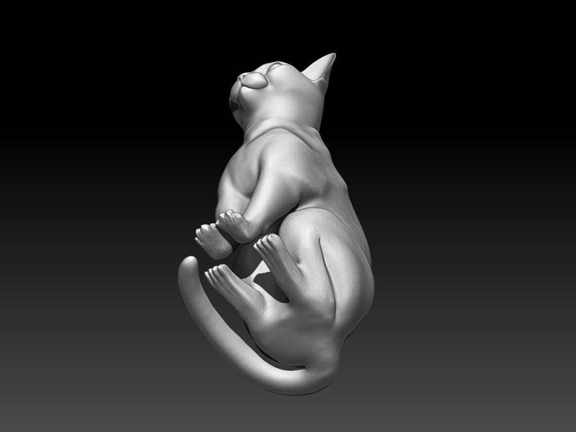 cats — thumbnail 16