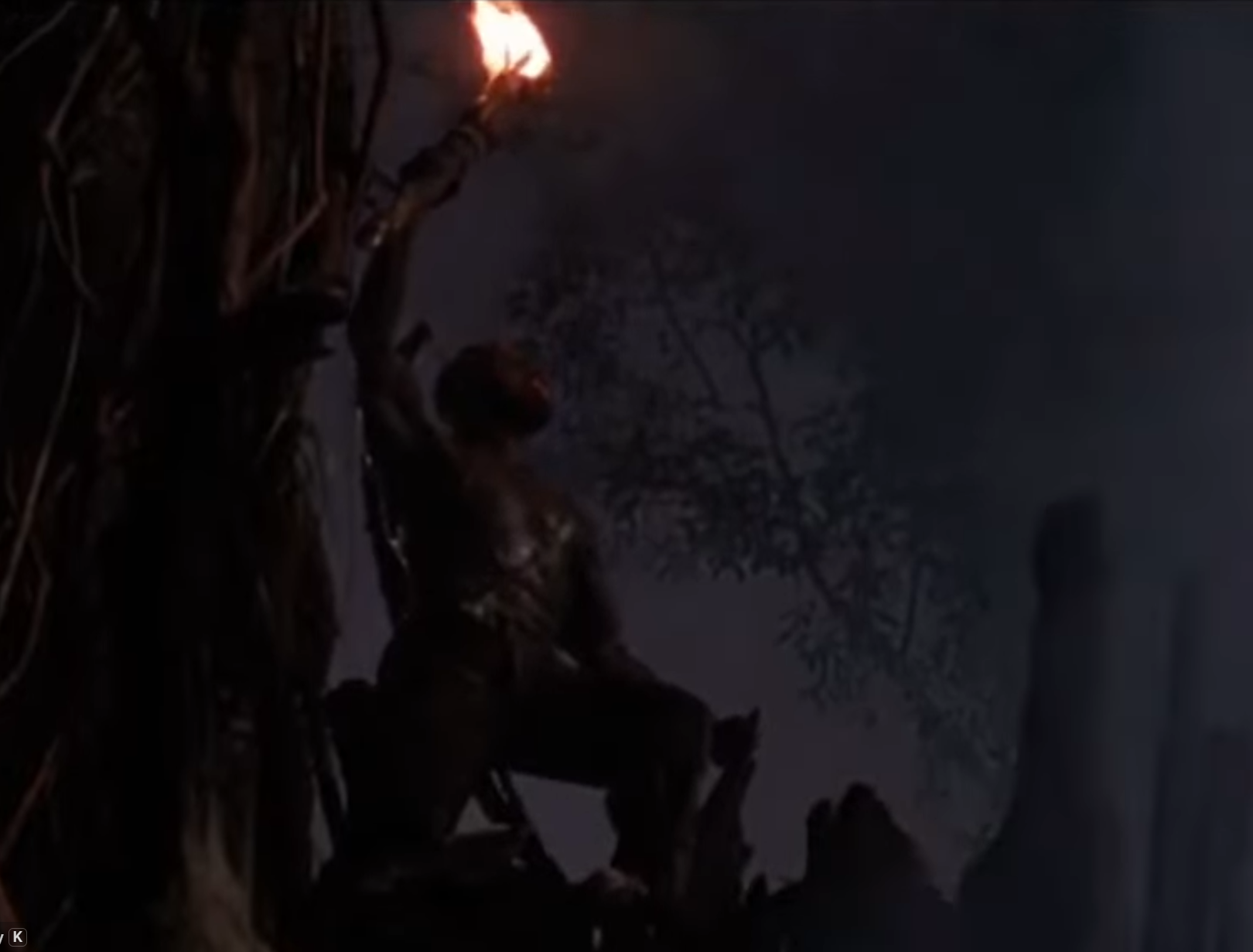 Dutch goes tree climbing - Predator