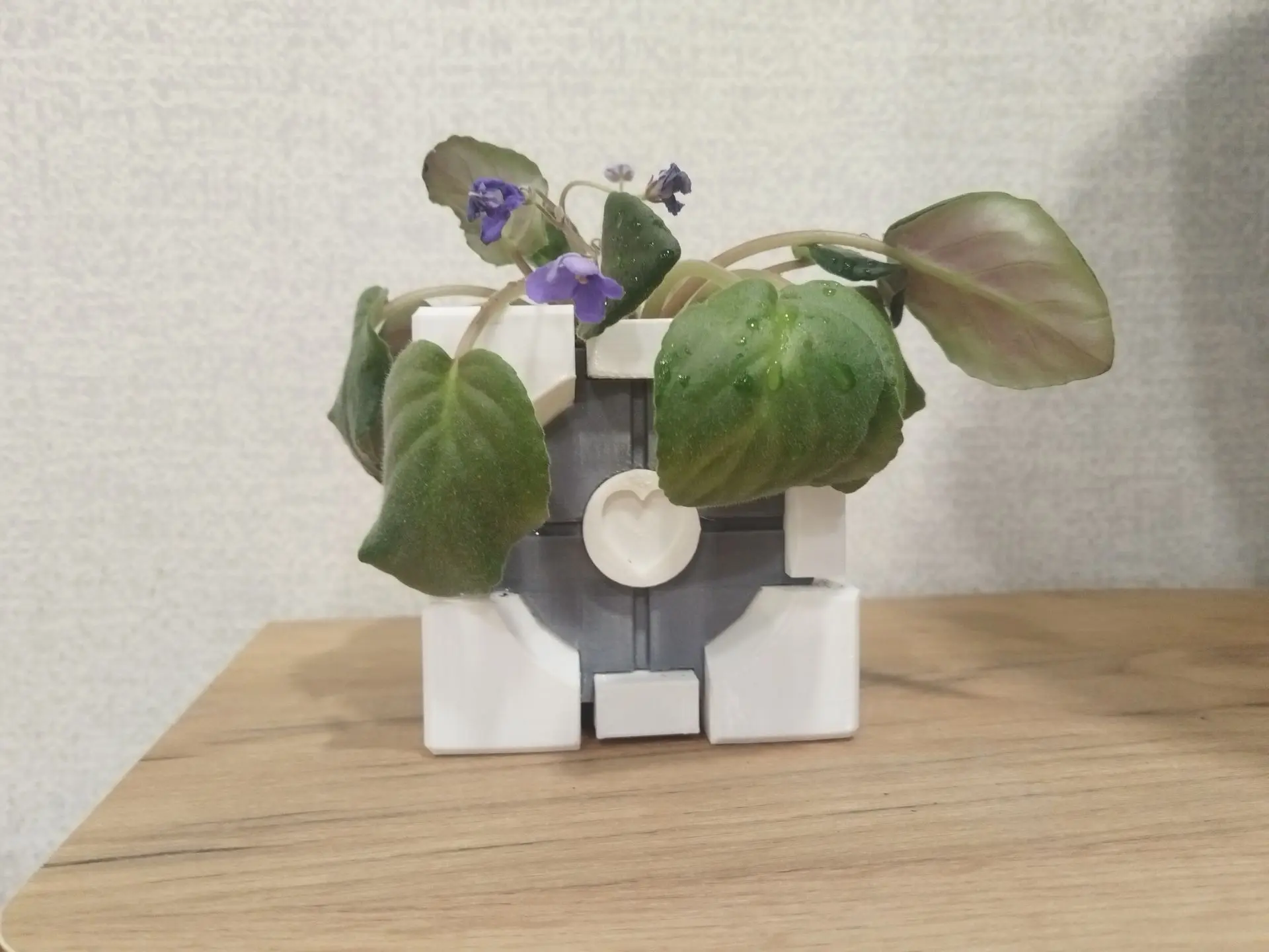 Companion Cube Plant pot
