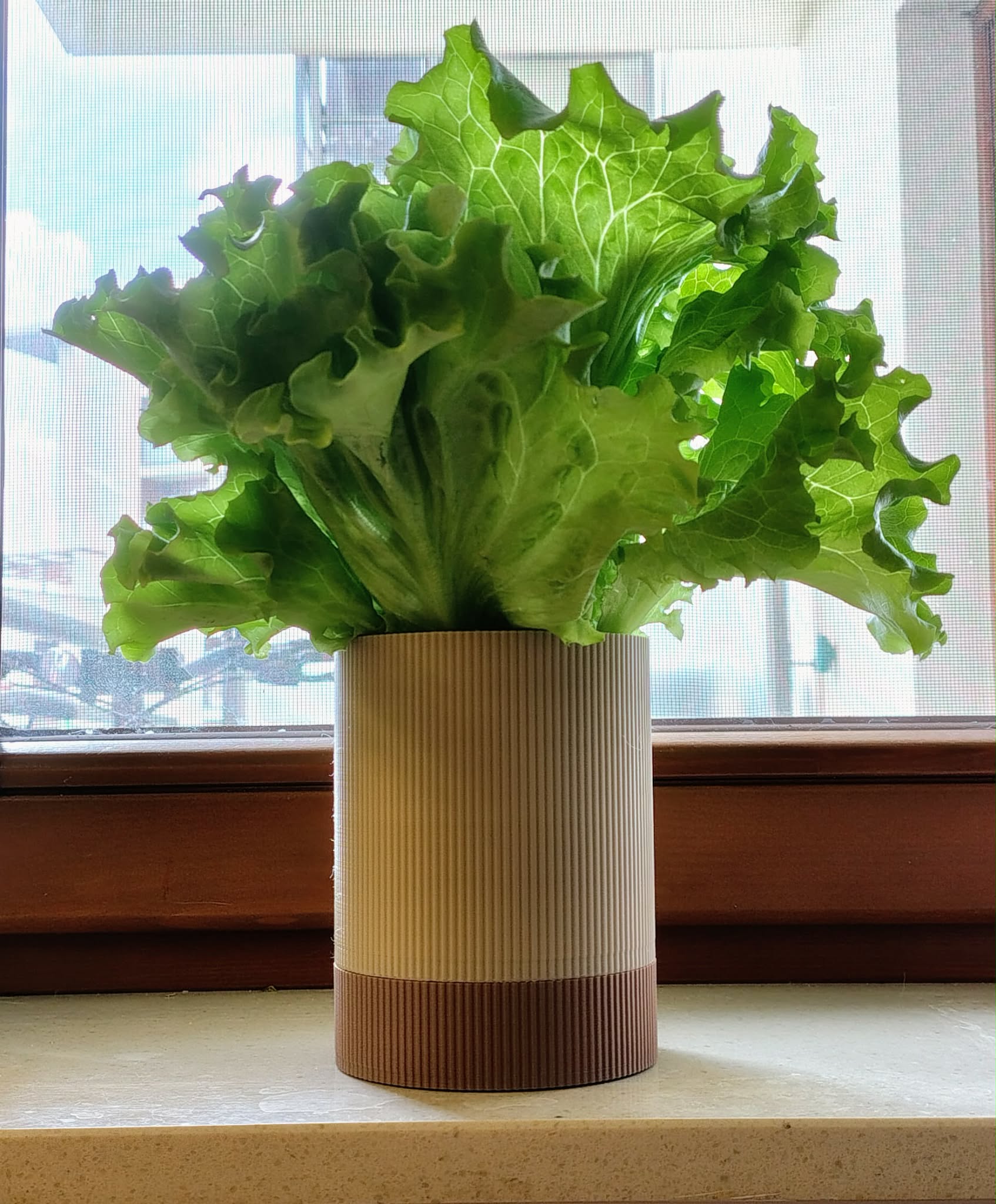 Self Watering Plant Pot 3D model