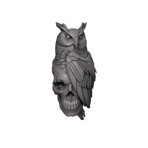 Owl Skull Decorartion