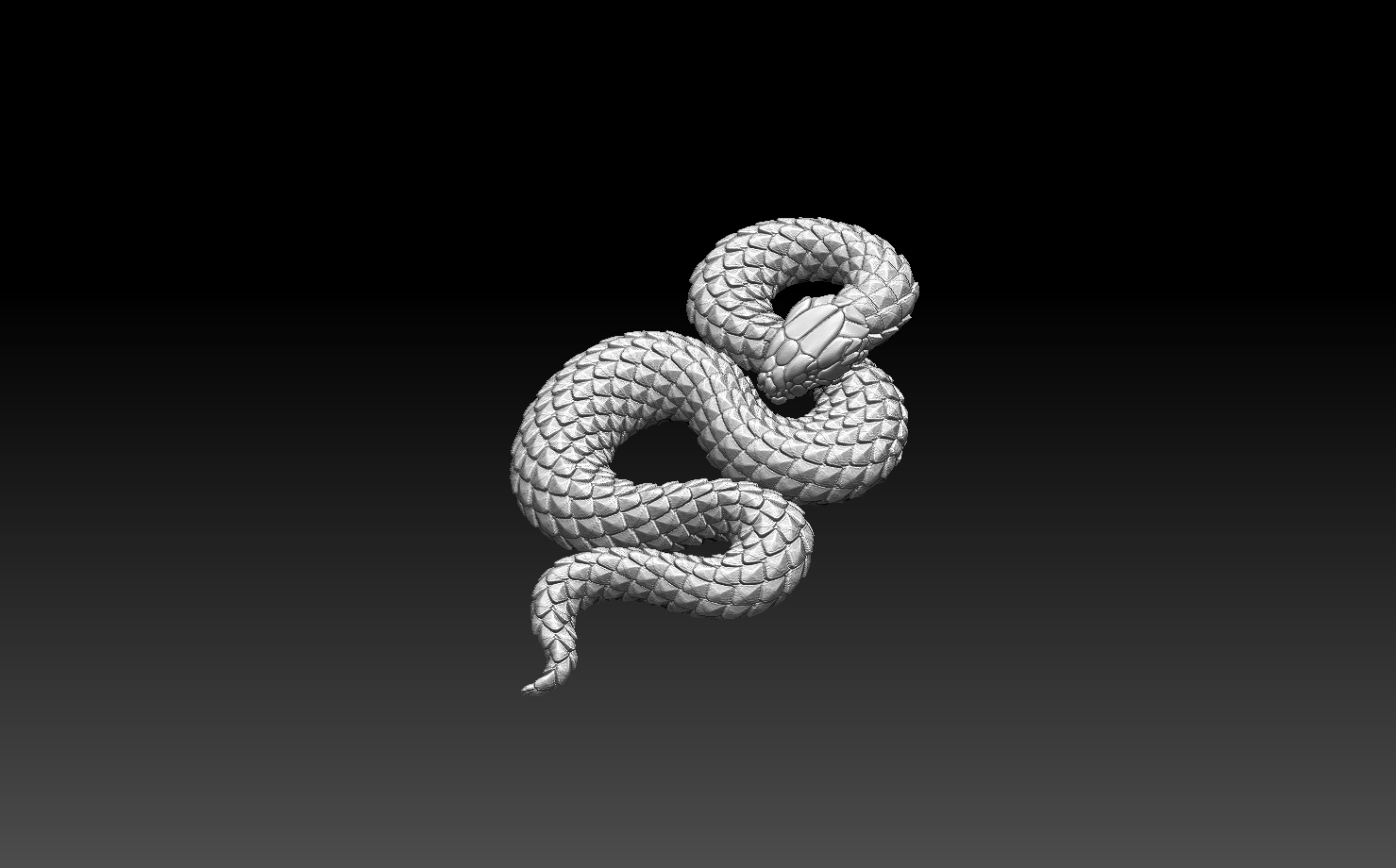 snake — thumbnail 3