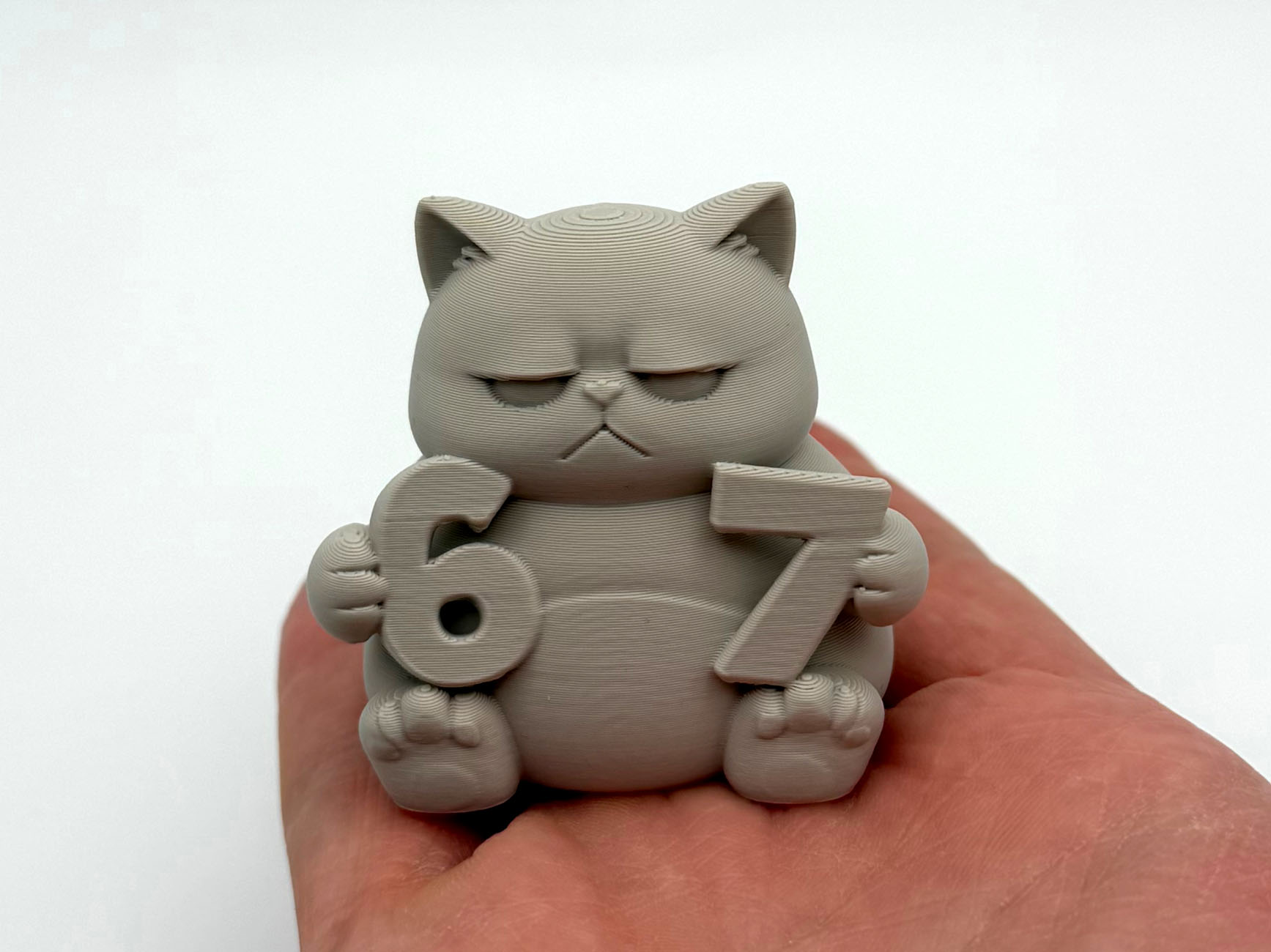 Grumpy 6-7 Kitten