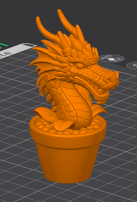 A dragon flower in a pot