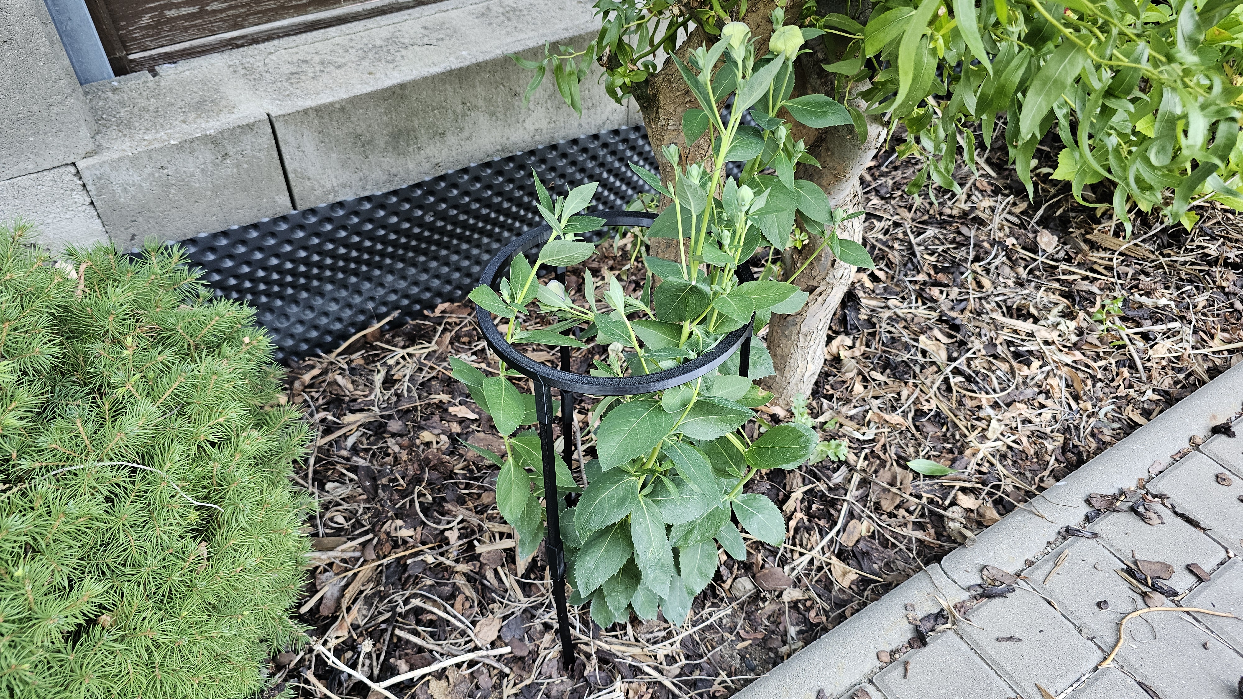 Support For Flowers