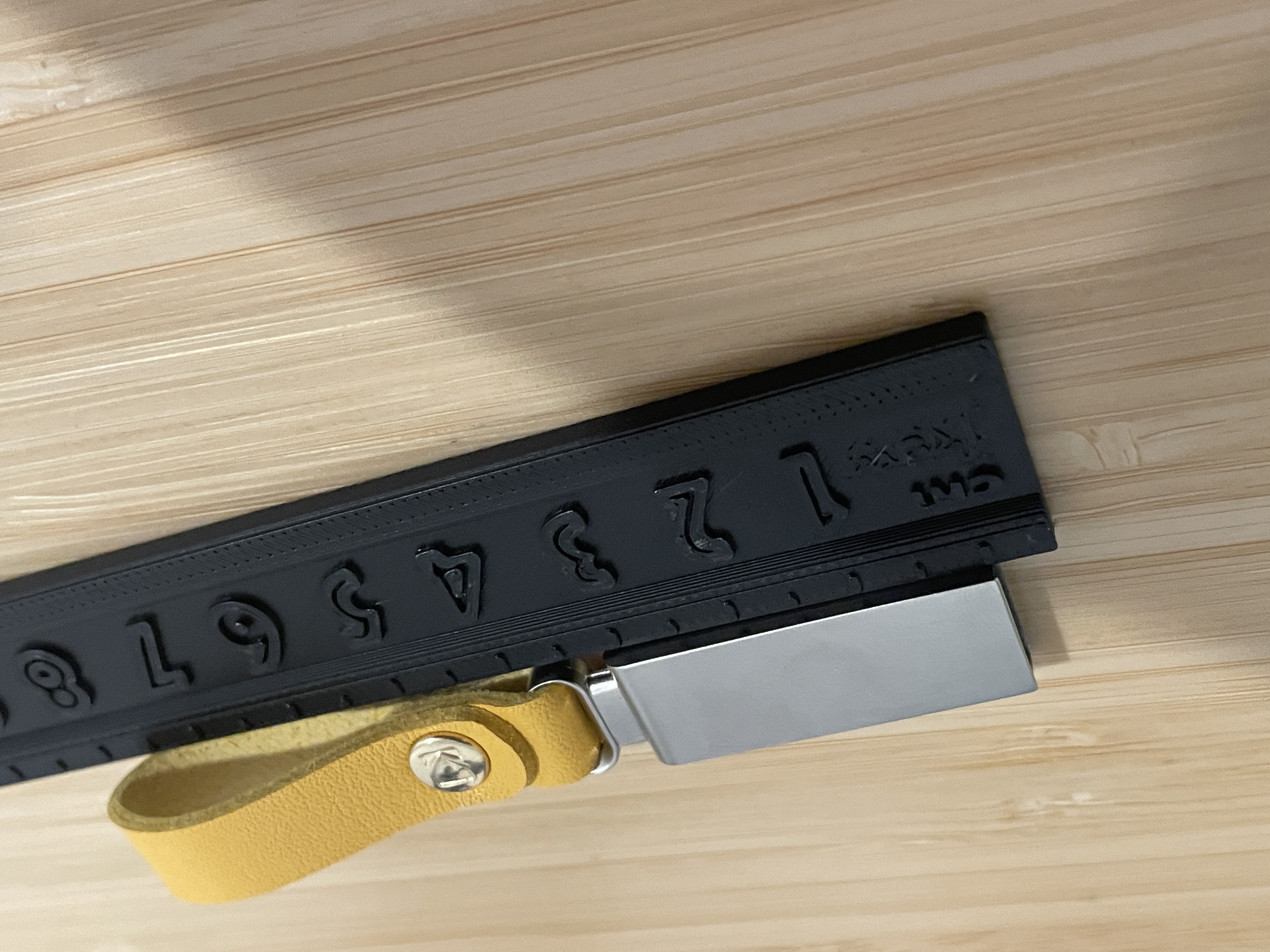 20cm Metric Ruler (12g, 25min)