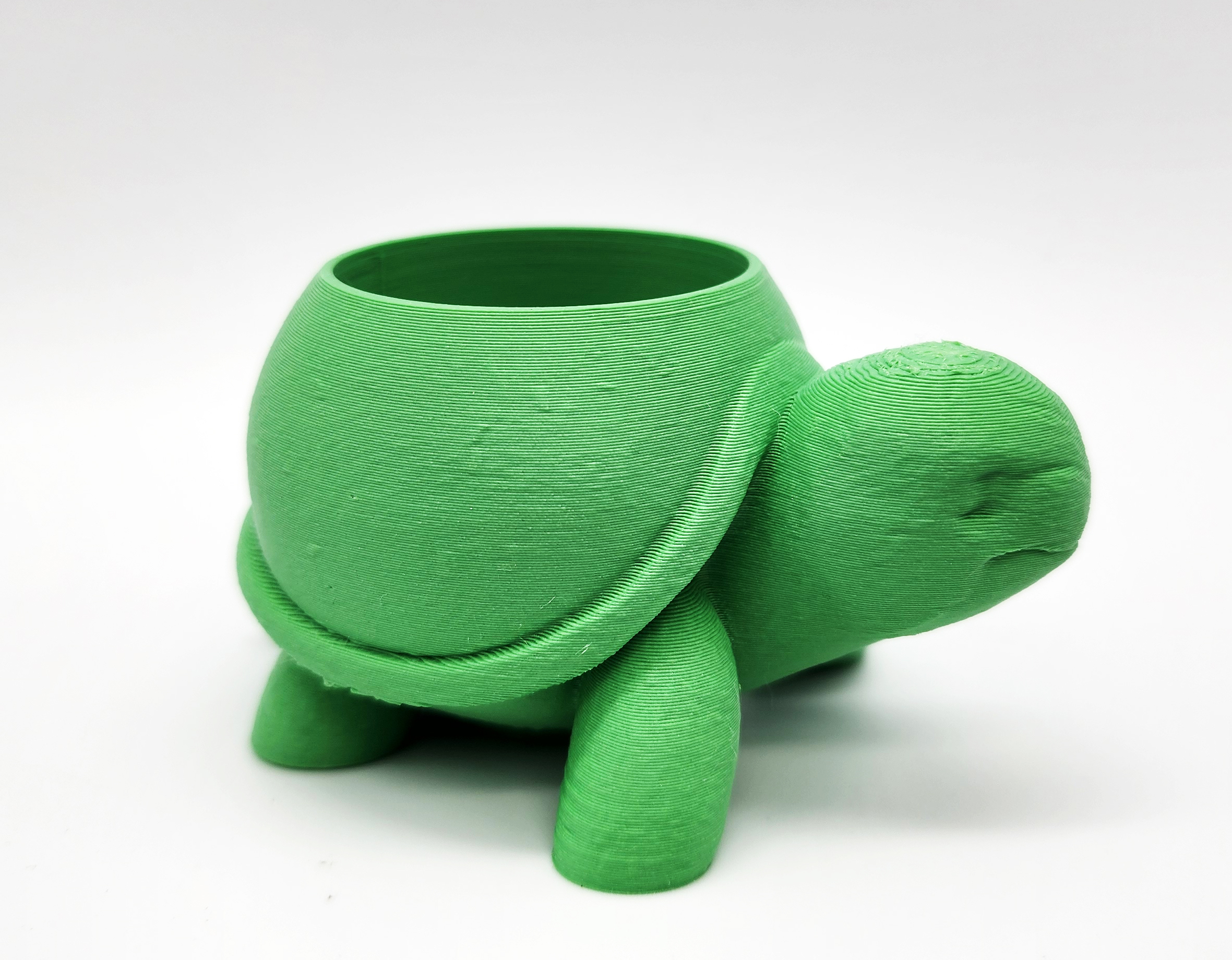 Miniatura 7 do modelo 3D Rounded Turtle Succulent Planter