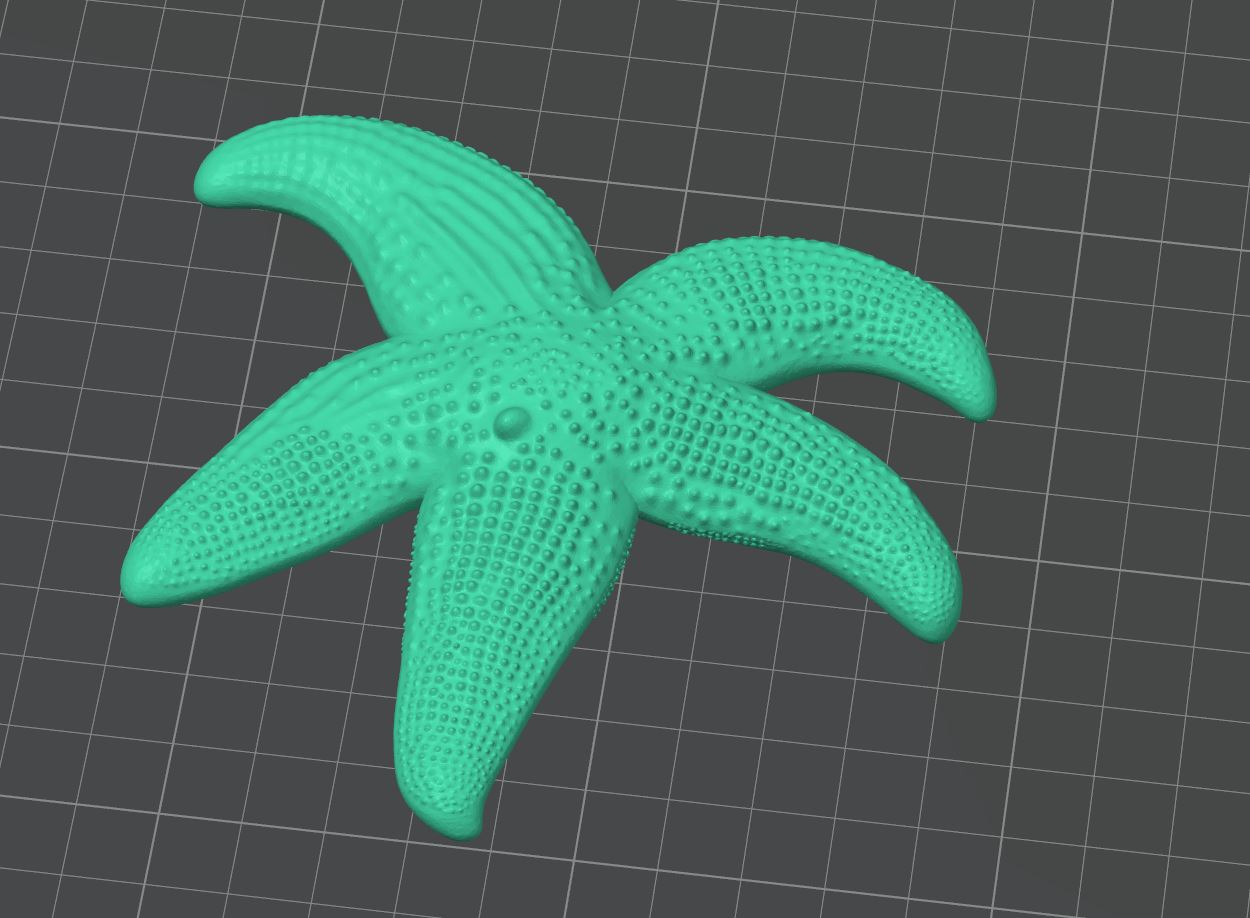 realistic starfish - easy printable — miniatura 3