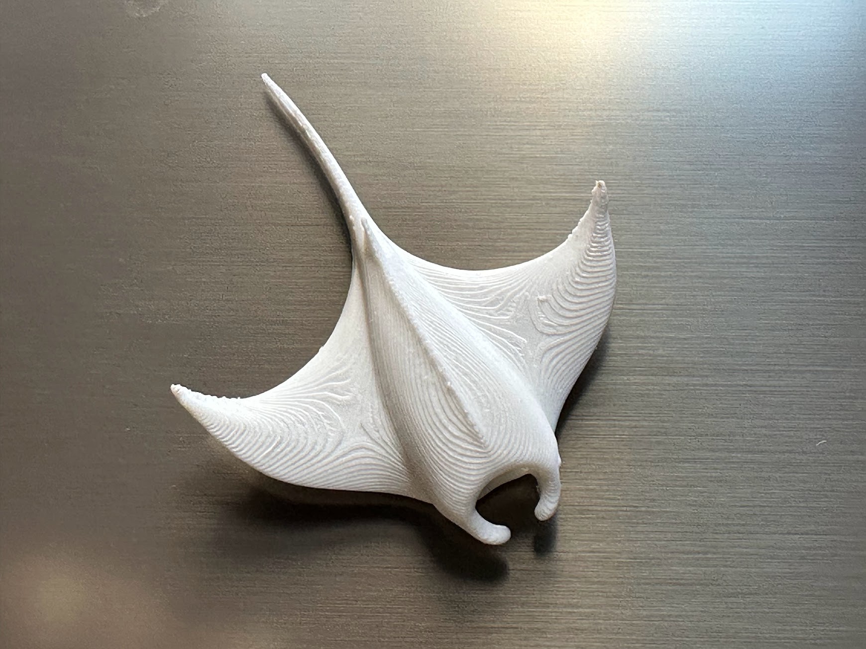 Manta Ray (Fridge Magnet)