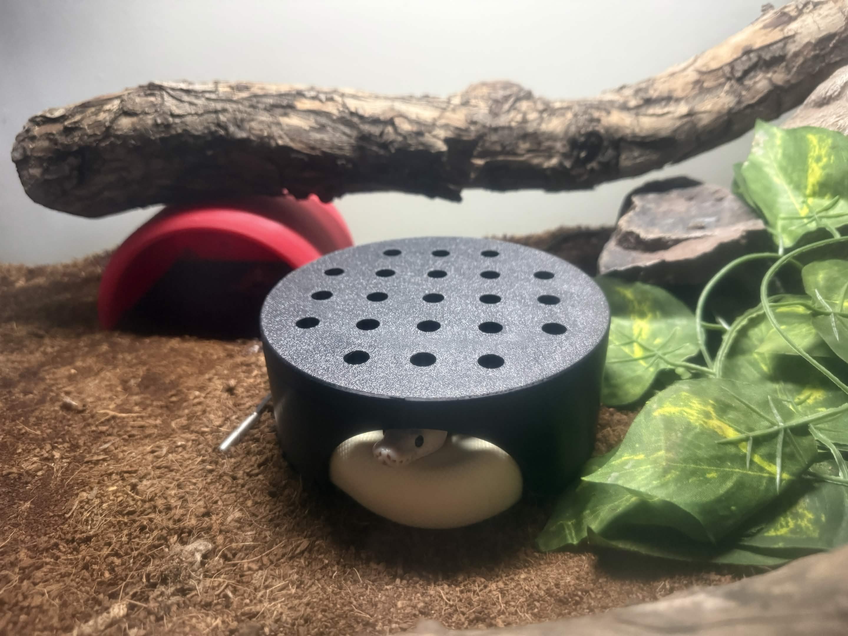 Miniatura 2 do modelo 3D Snake Hide - Circular