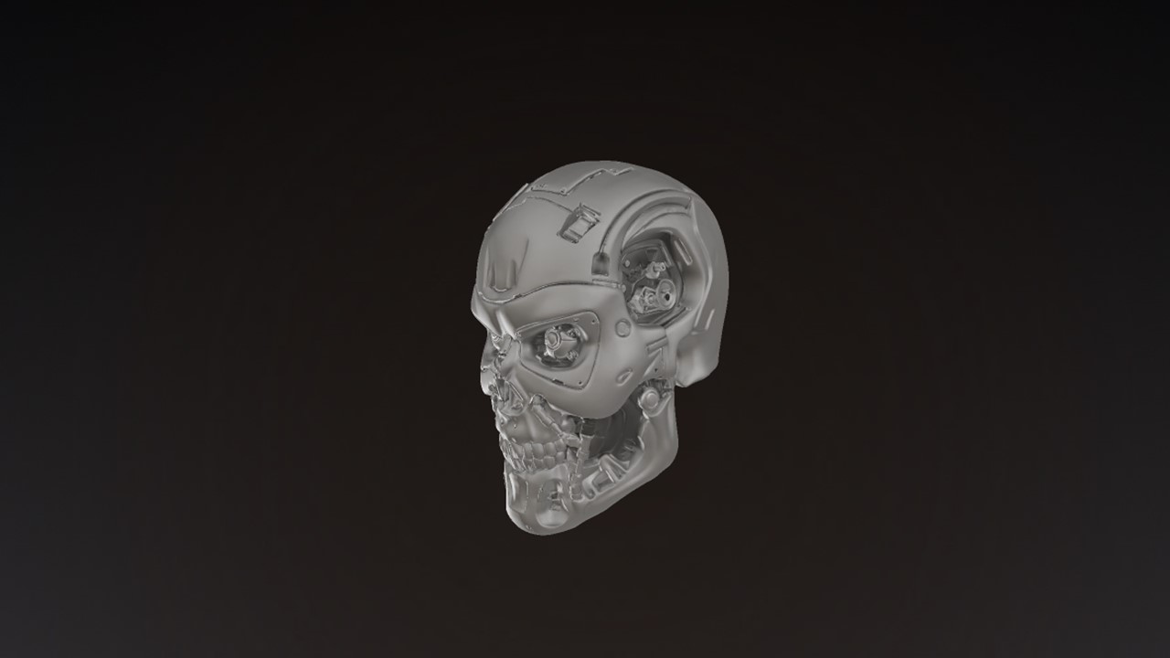 TERMINATOR HEAD — miniatura 2