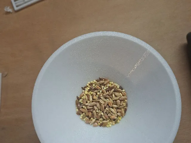 Thunnel for Solids