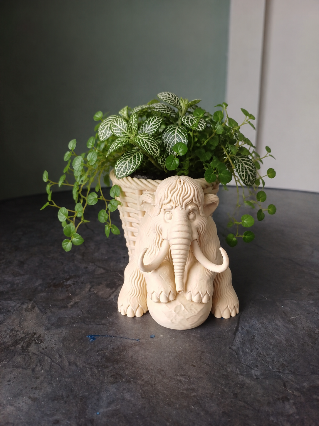 Cute Mammoth Planter