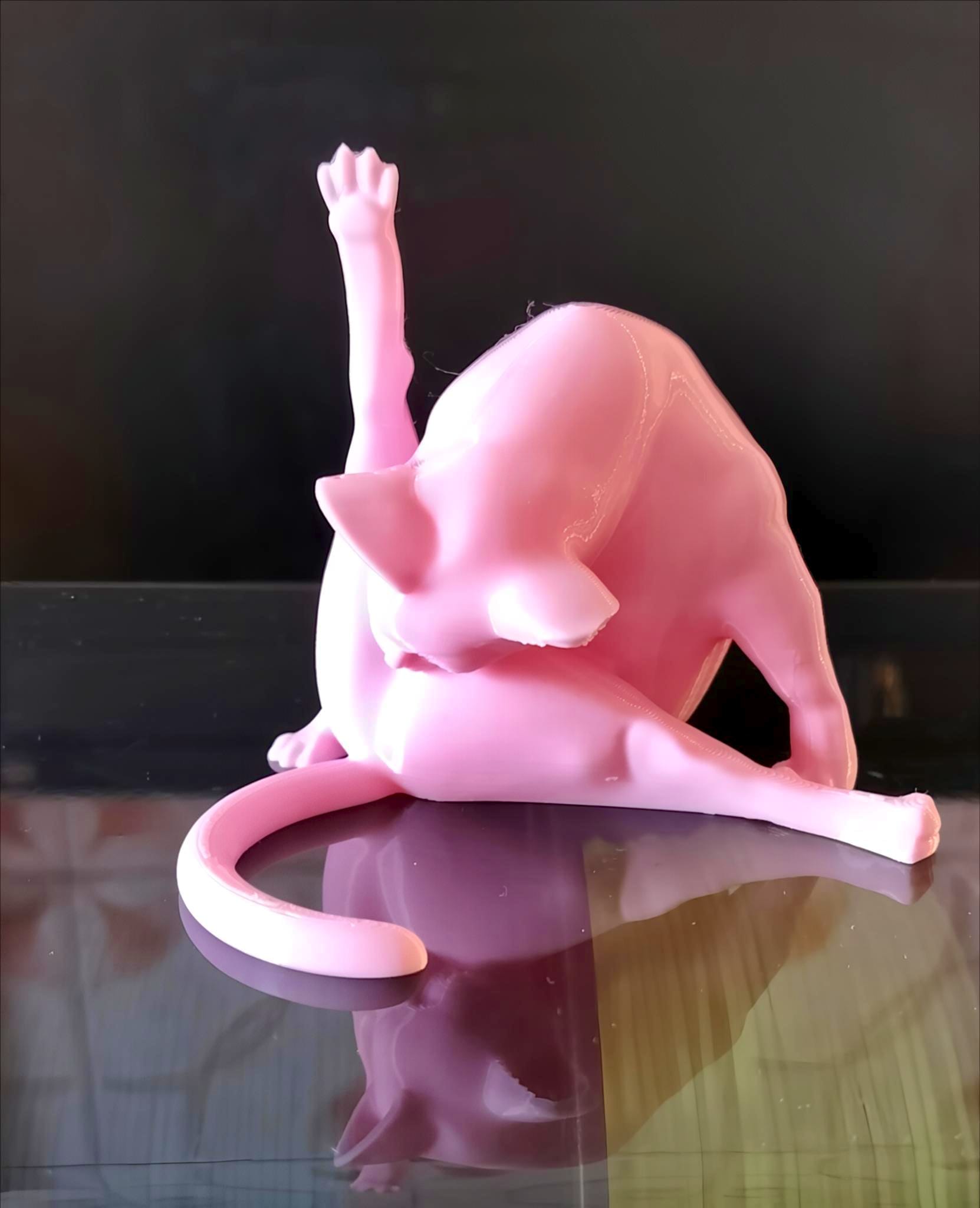Cat Cleaning Routine — miniatura 5