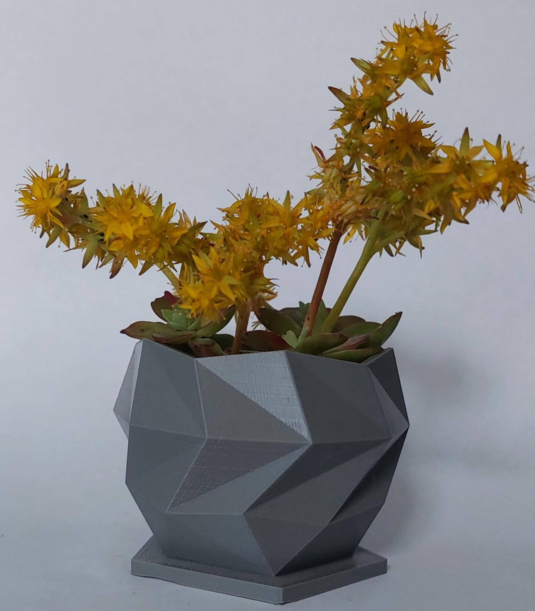 Geometrical Planter