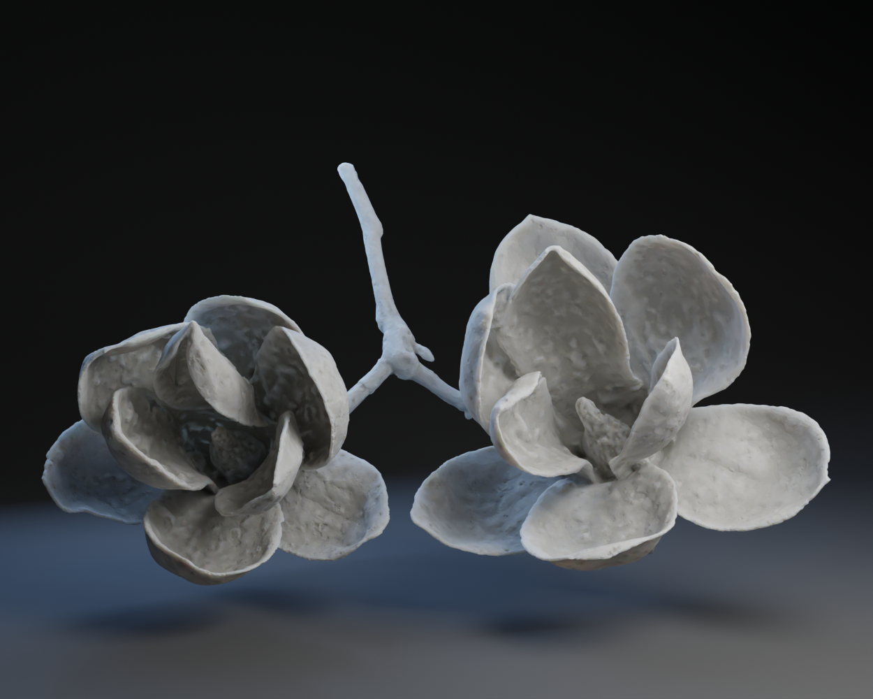 Water Lillys and Stem