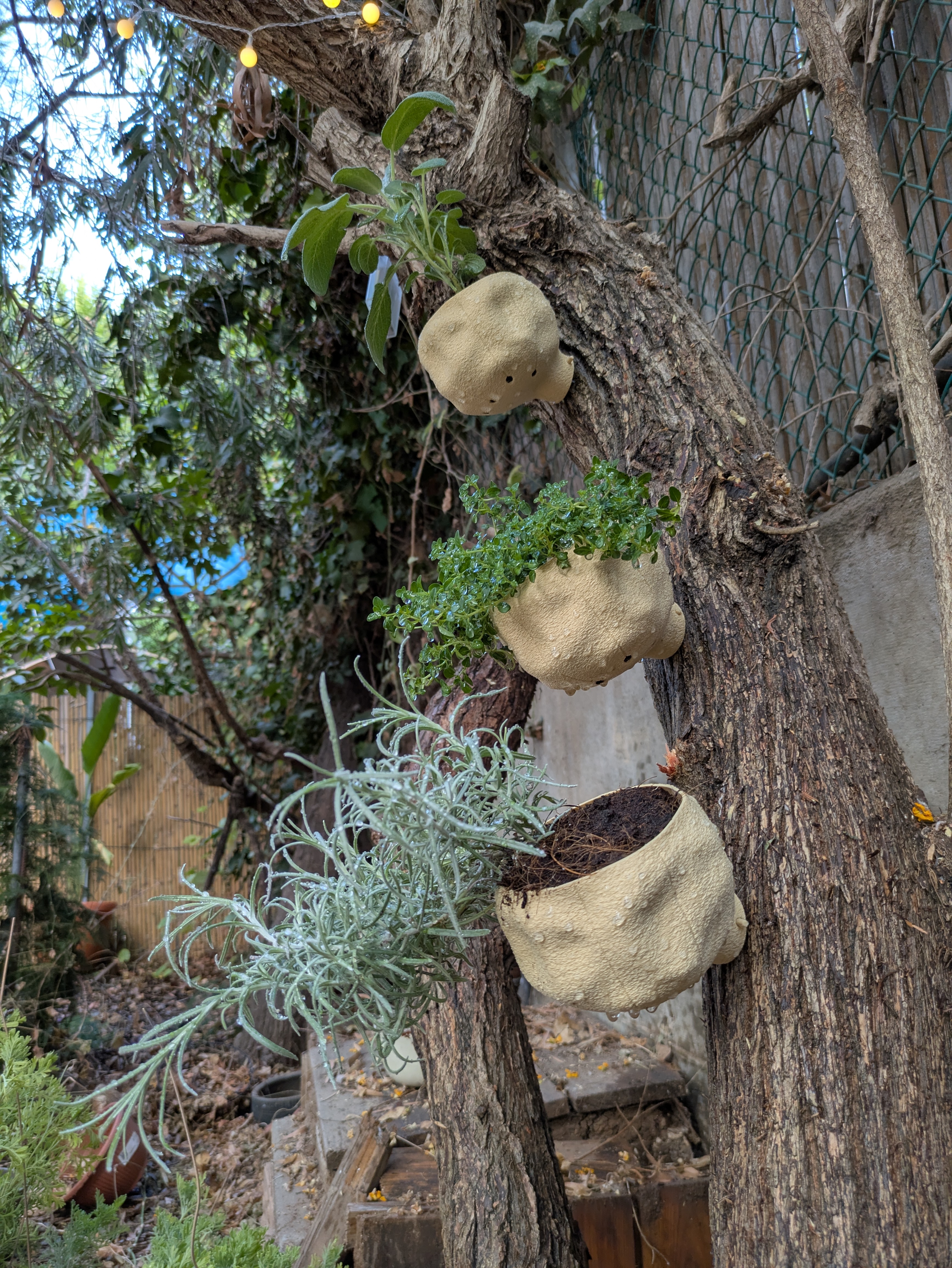 Tree Planter — thumbnail 2