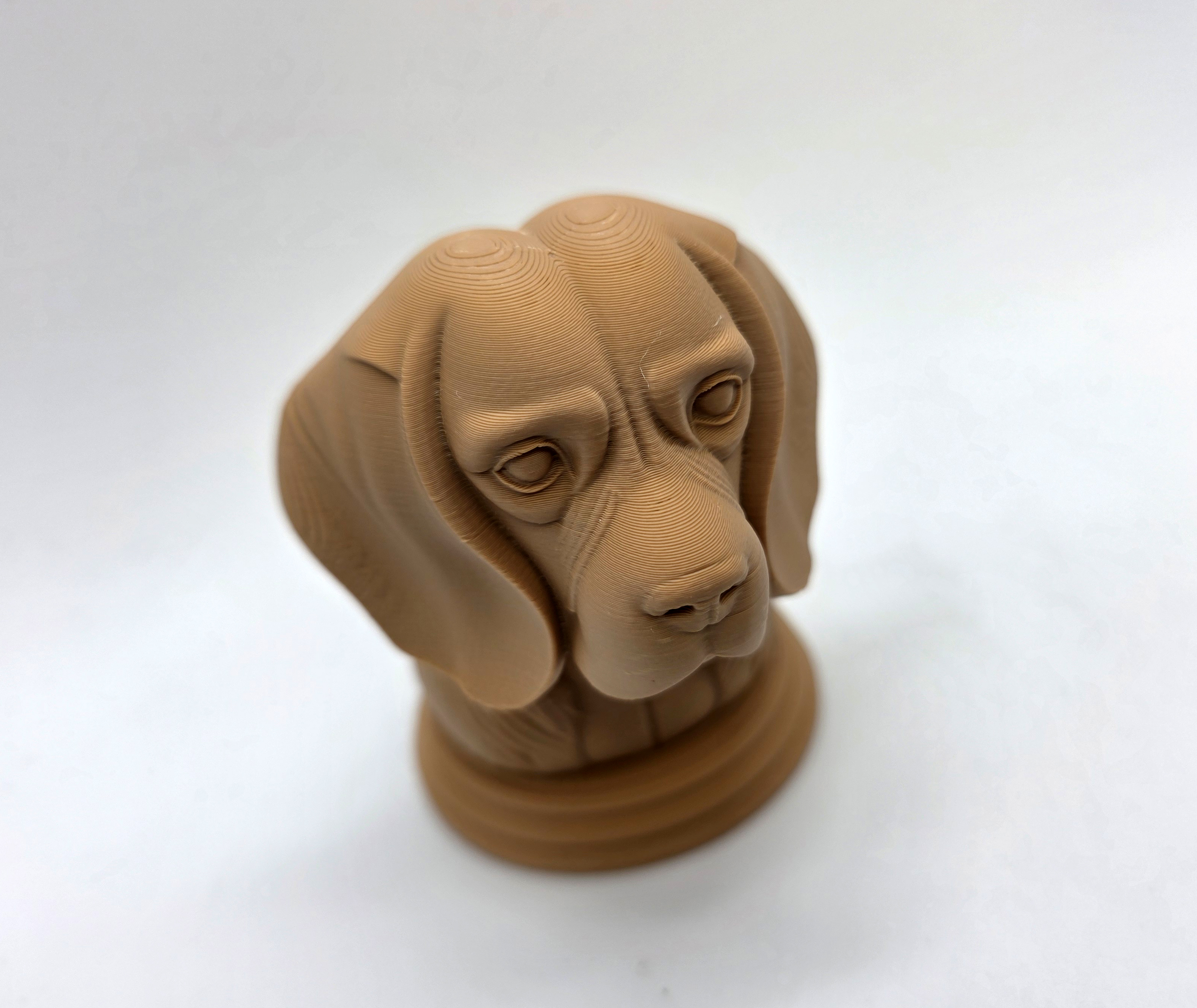Miniatura 7 do modelo 3D Beagle Bust