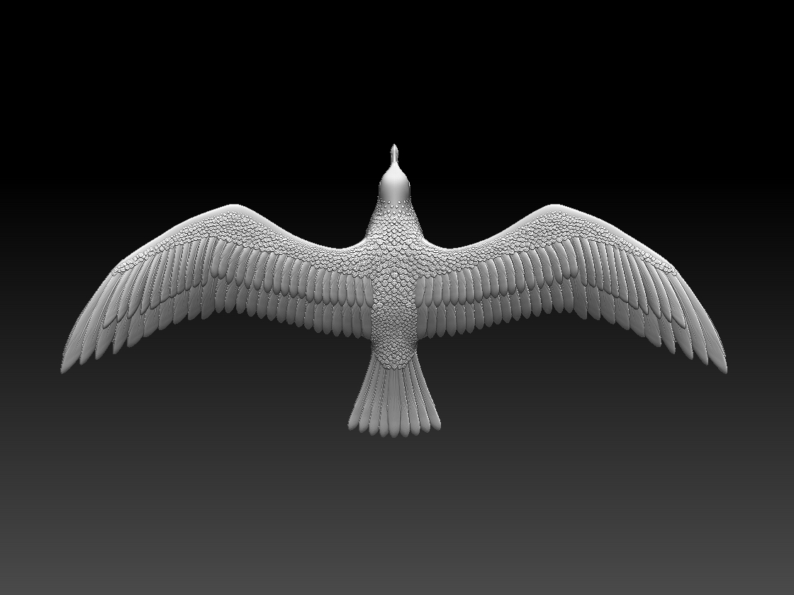 seagull — miniatura 10
