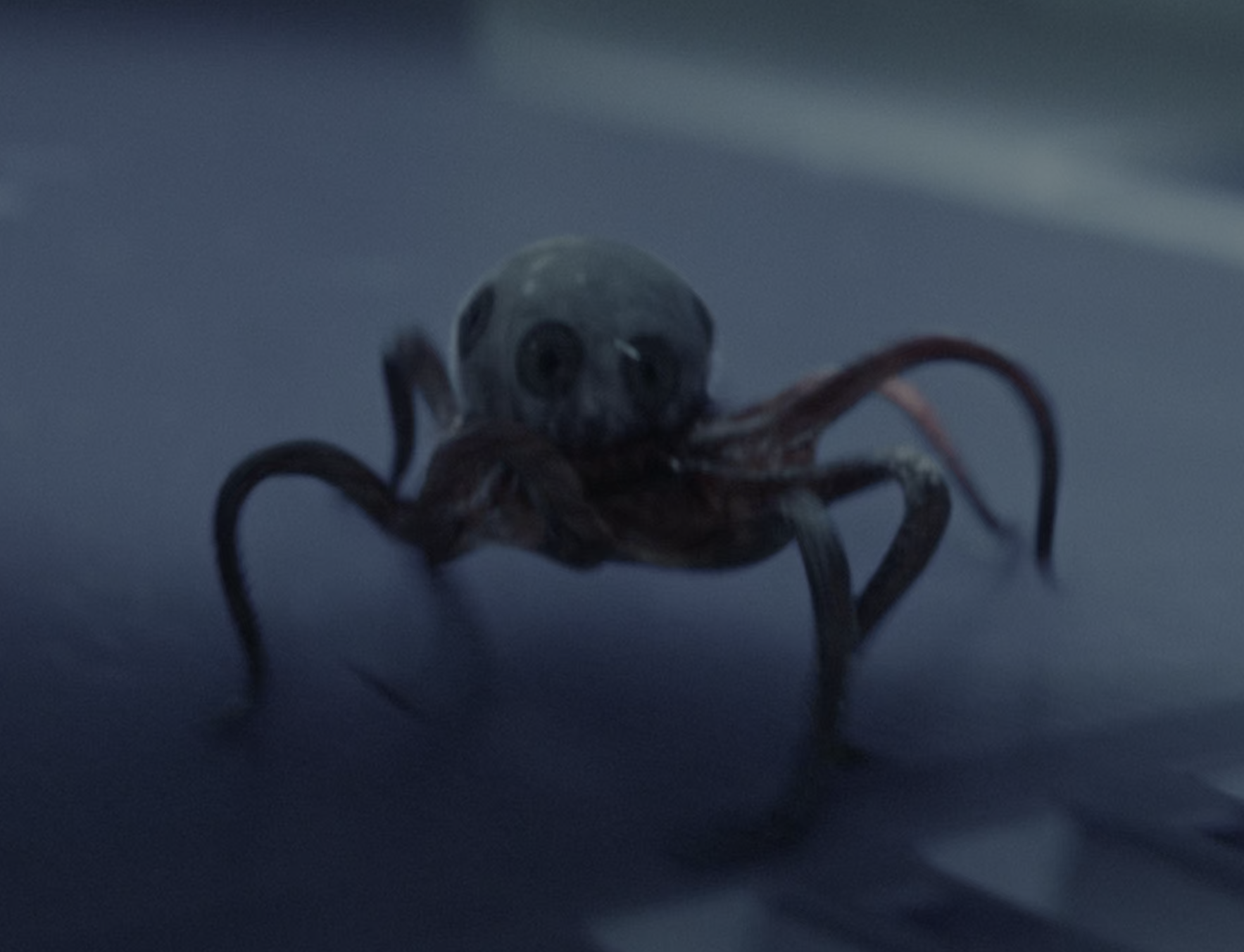 Miniatura 3 do modelo 3D Eyetopus
